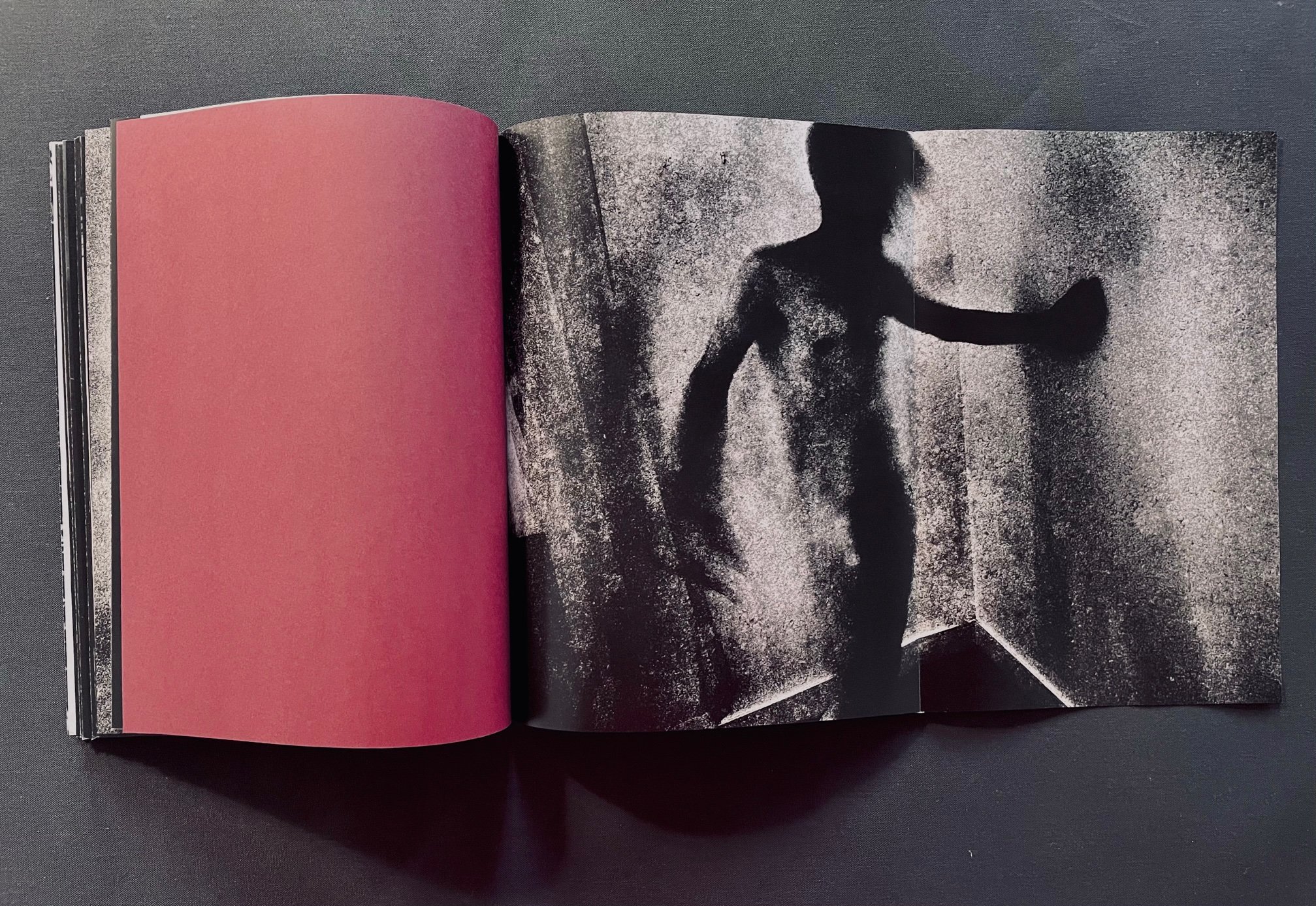 IMG_9060_1024x1024@2x