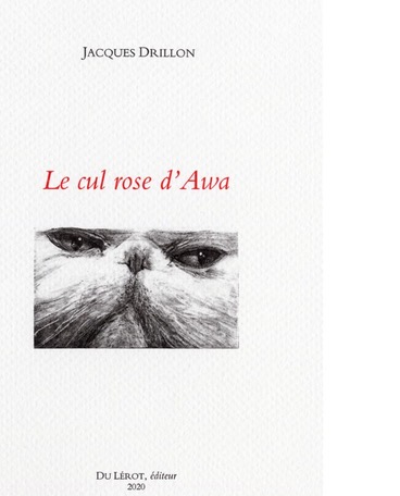 le-cul-rose-d-awa-l-oeil-goguenard-de-drillon_5518954