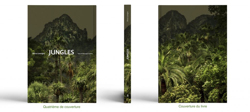 01-Mock-up-Jungles_complet-sans-fond2-1024x458
