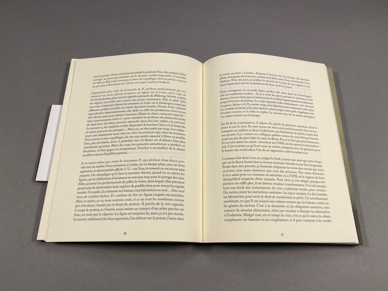 179245165_936574177139029_2238652912484815720_n