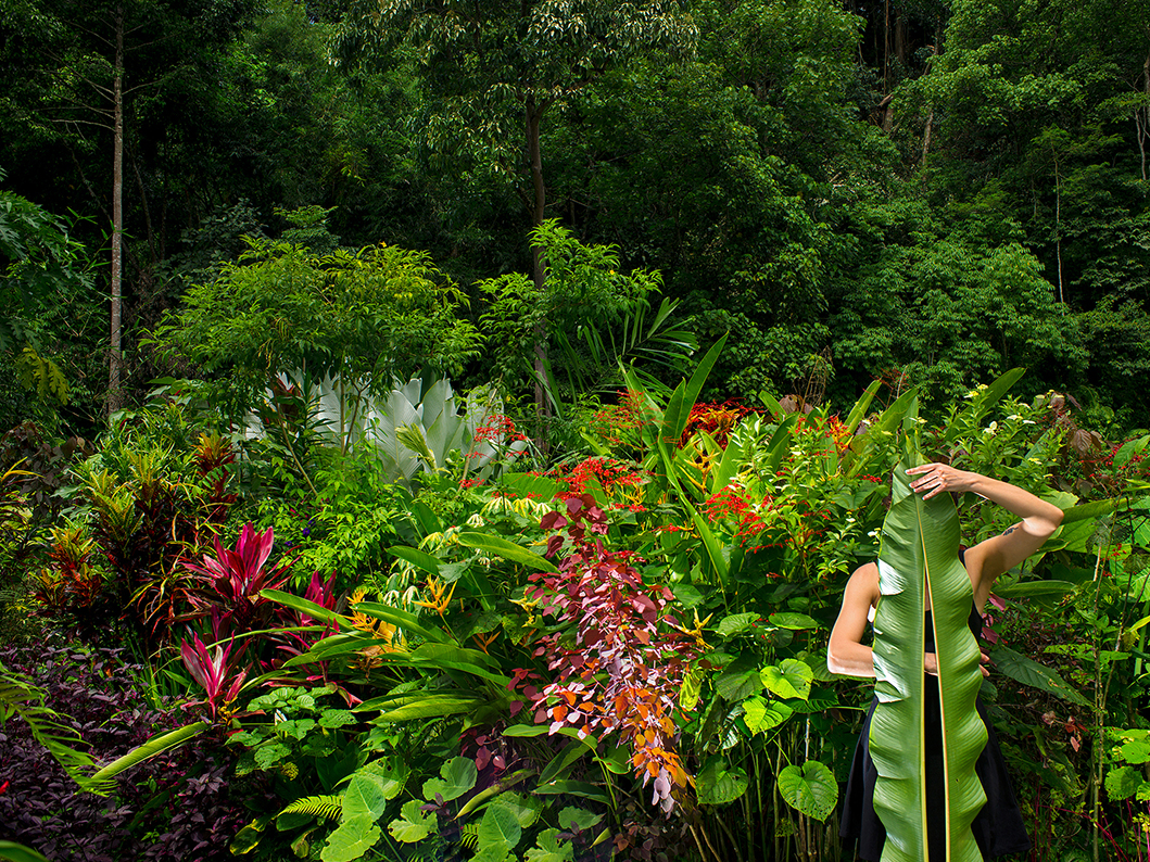 Le jardin, Olivia Lavergne, 2017