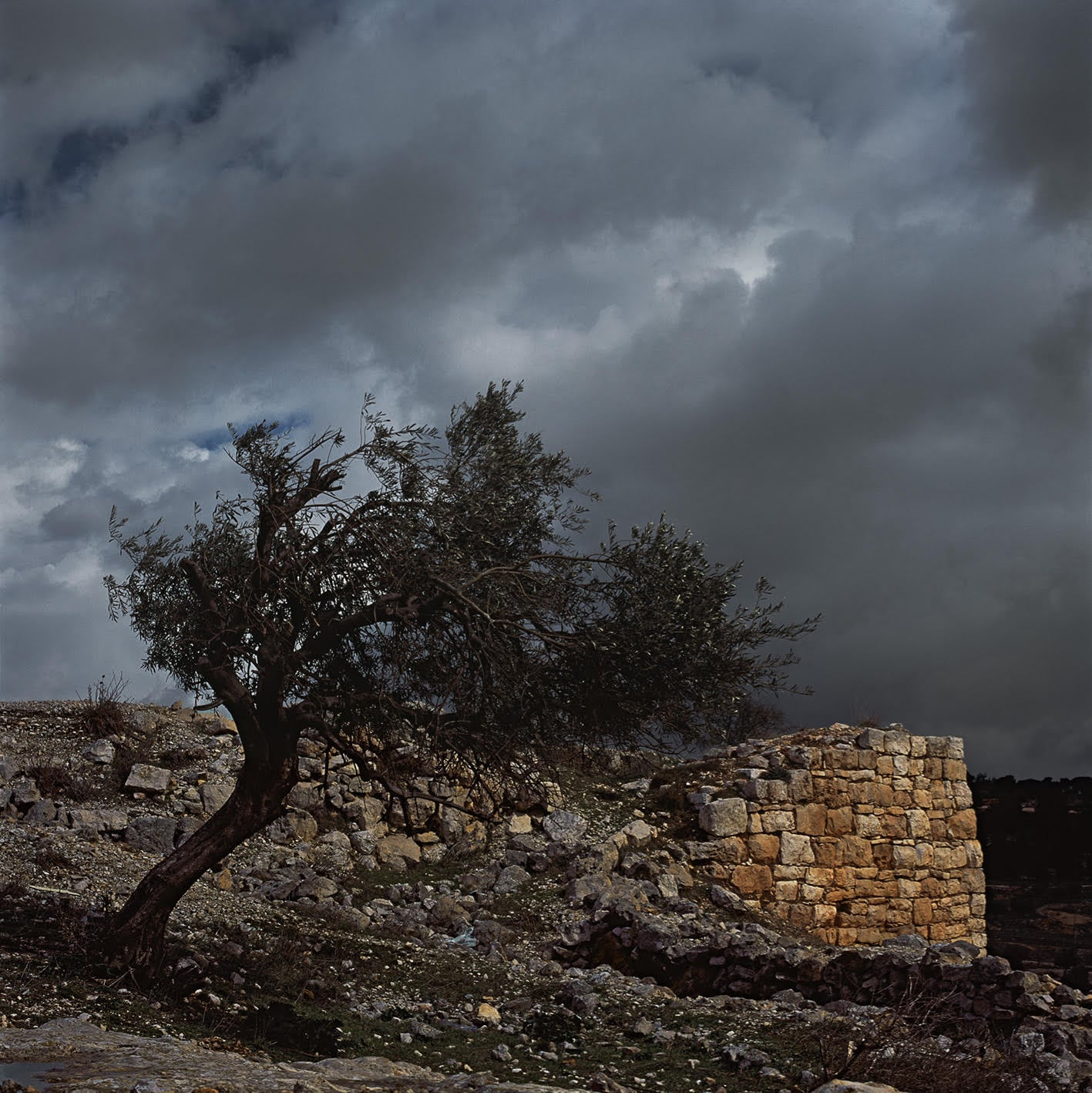 IMG_20210121_063639_536