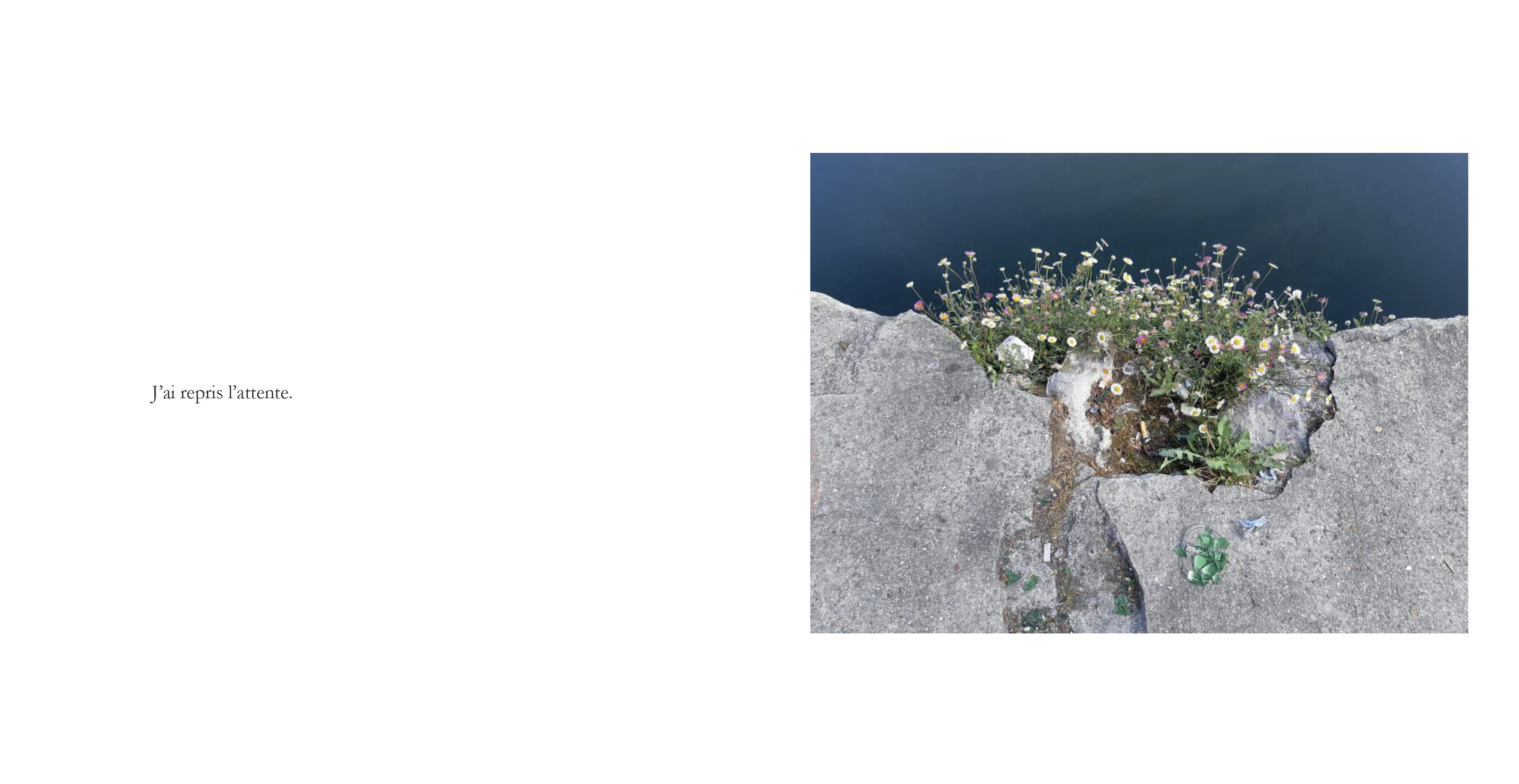 LSamama_Bizalion_Je danse seule-V7.indd