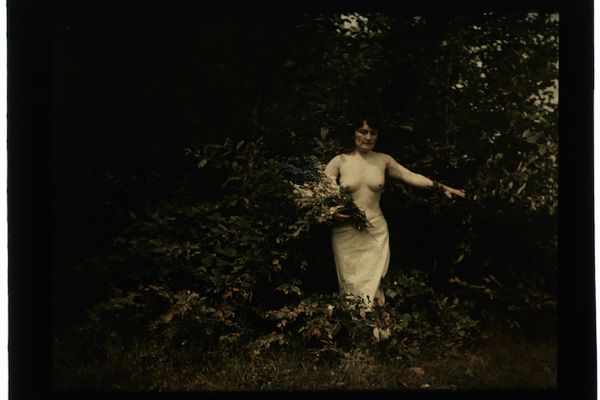 5fa2b4572333c_x0107_54_4555_br-5066472