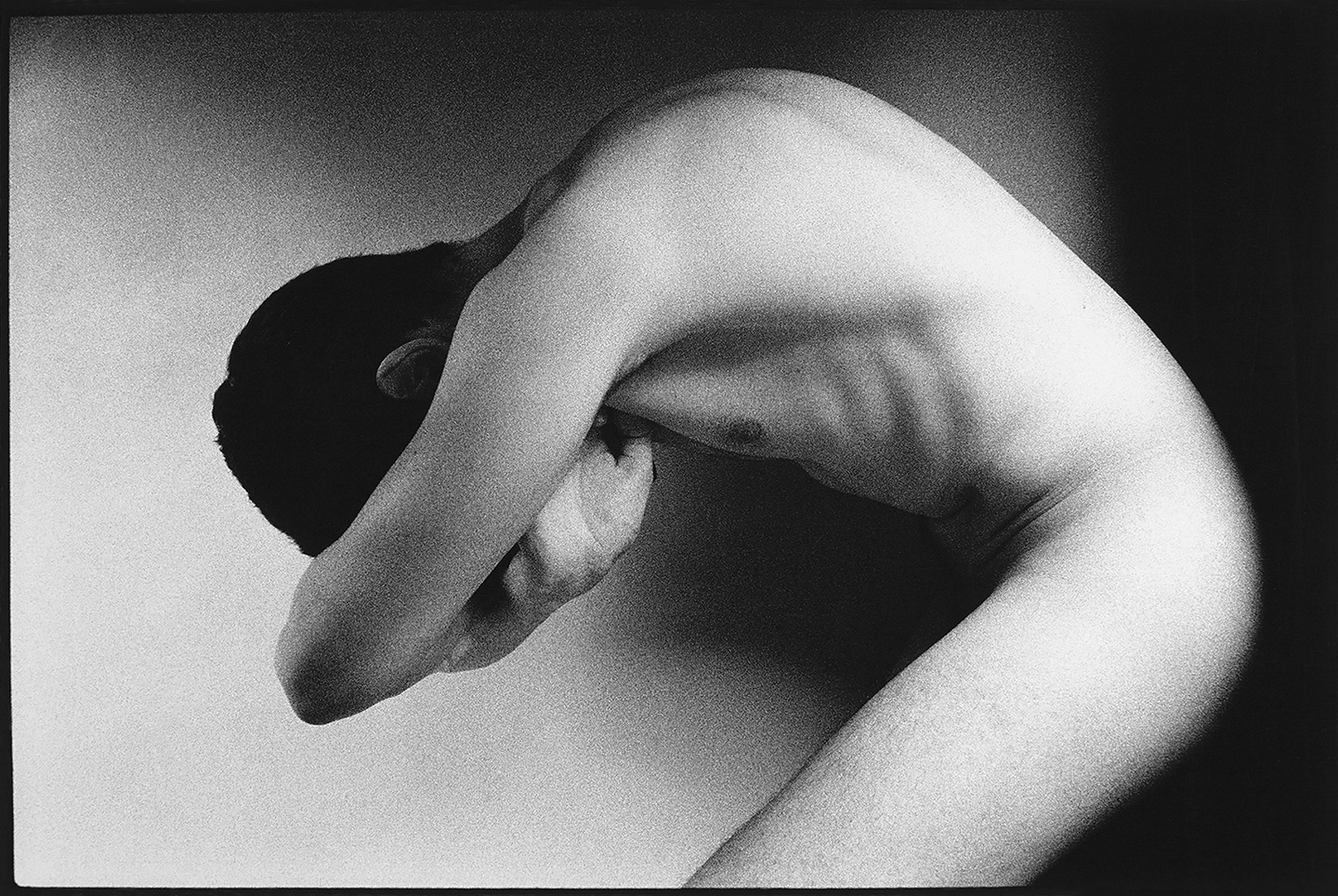 Improvisation II 117 (2018)