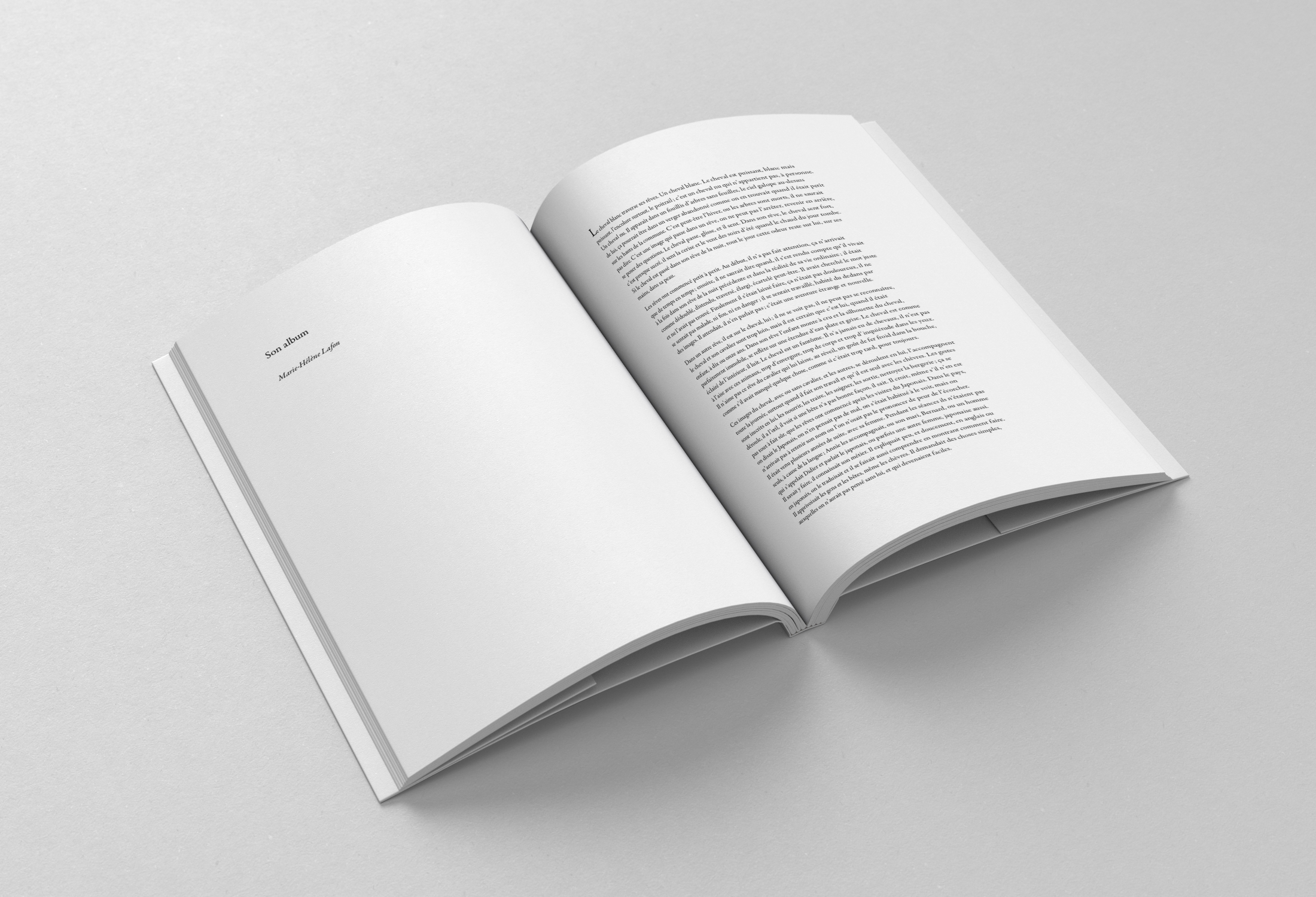 Book / Brochure - B6 -  Mockup