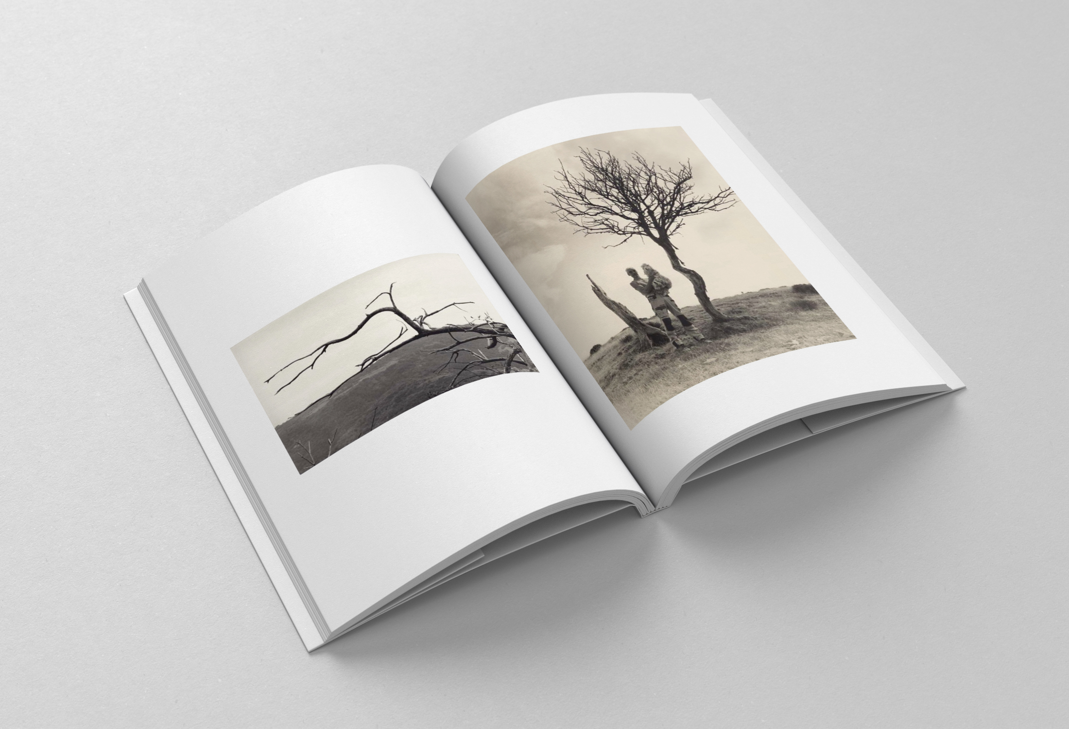 Book / Brochure - B6 -  Mockup