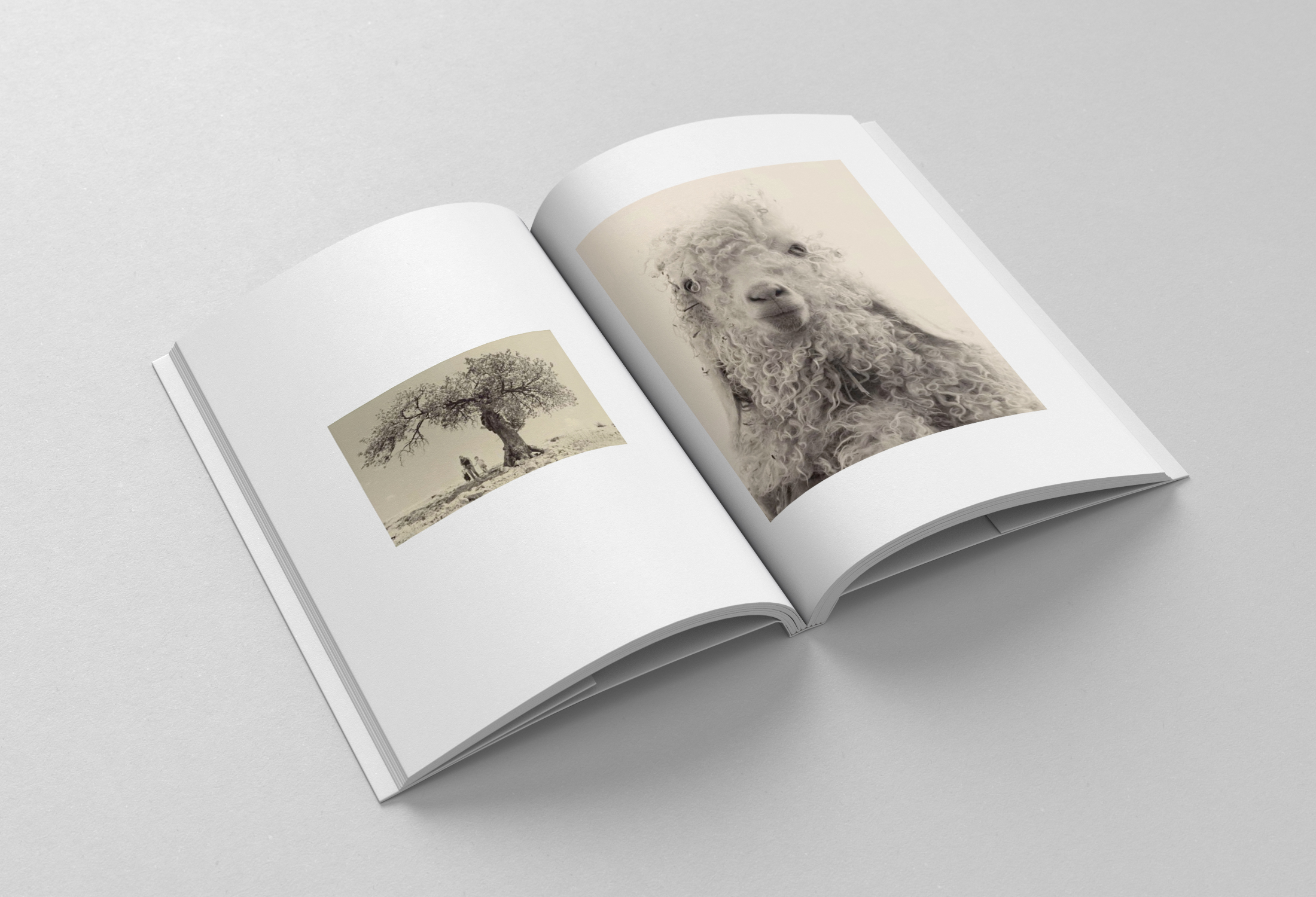 Book / Brochure - B6 -  Mockup