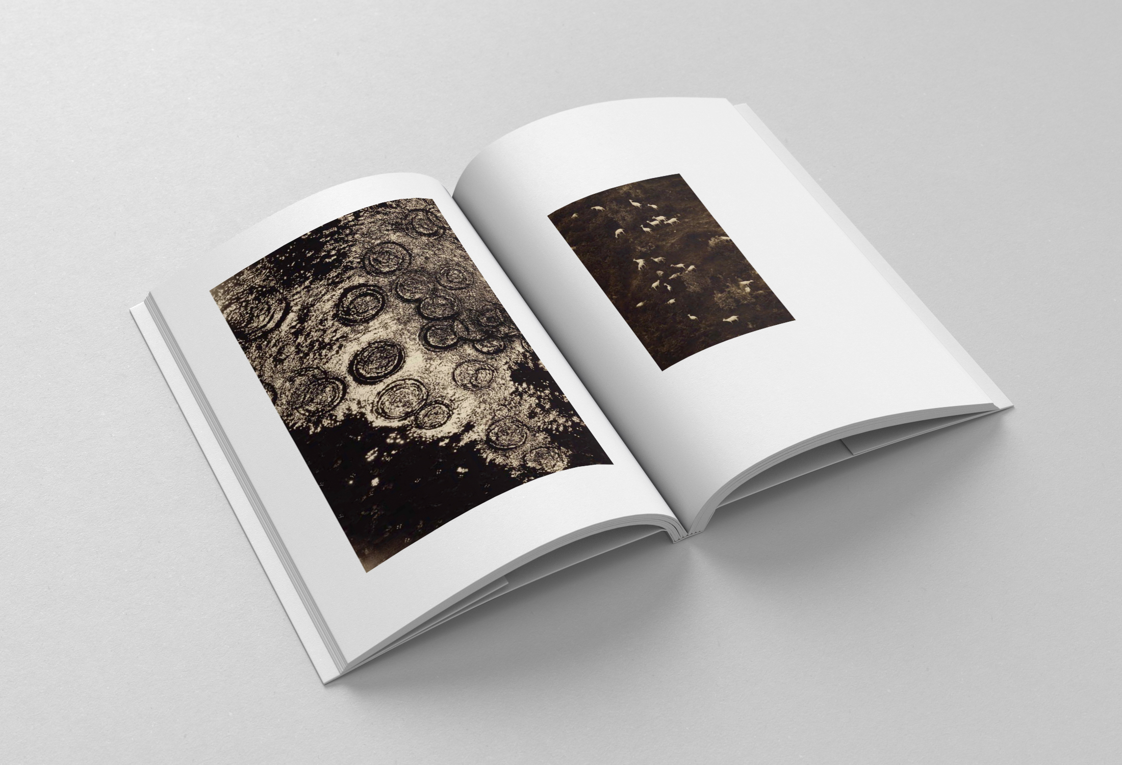 Book / Brochure - B6 -  Mockup