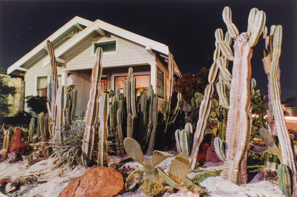 Ollman Arthur - Maison avec cactus