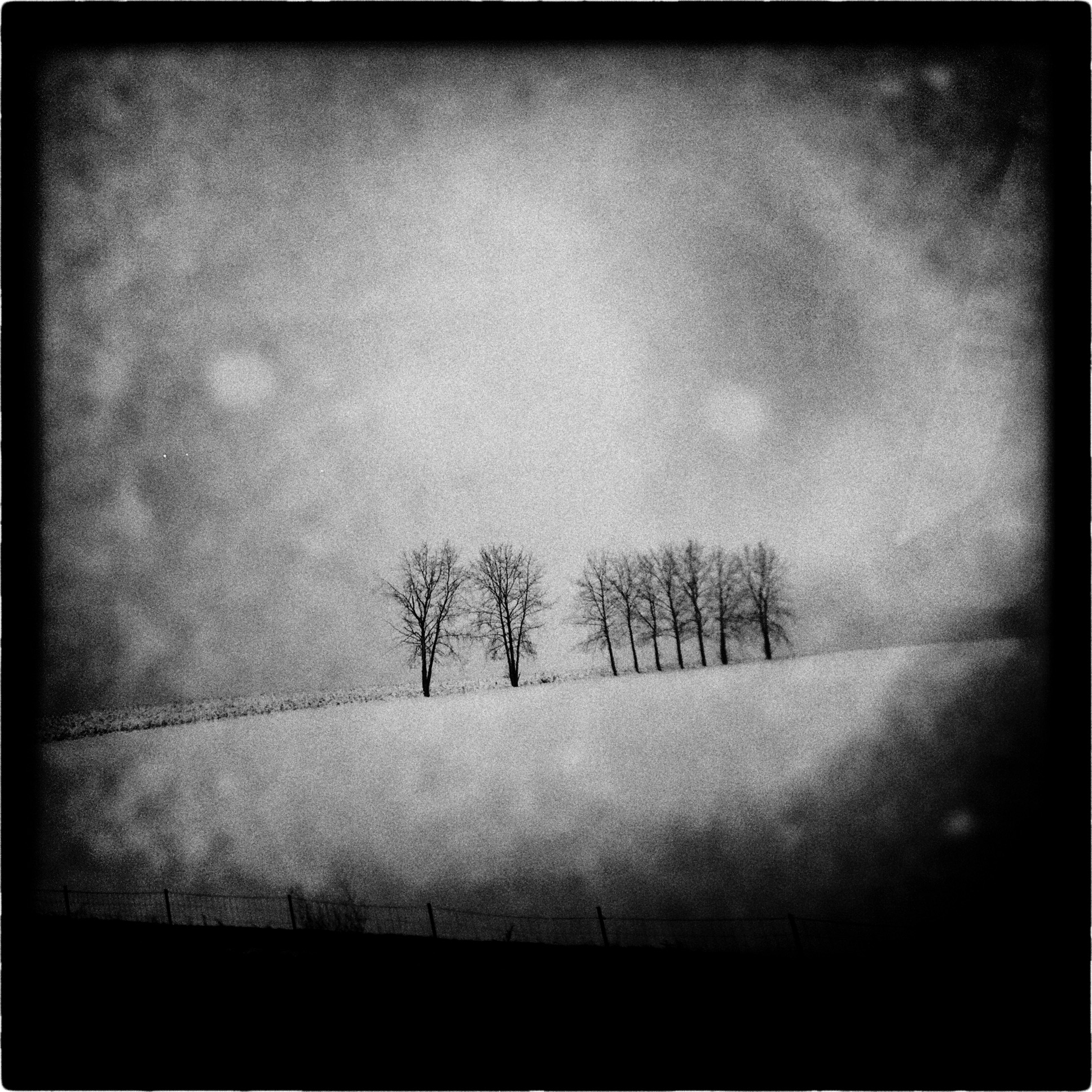 2012_0204-SK-80-7975