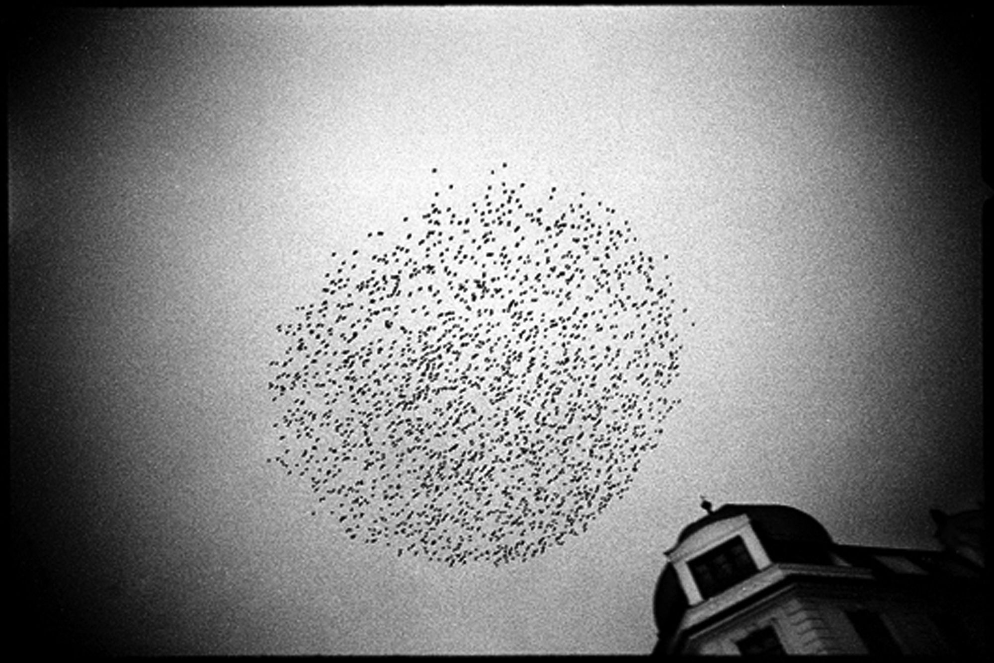 Damien Daufresne (3)