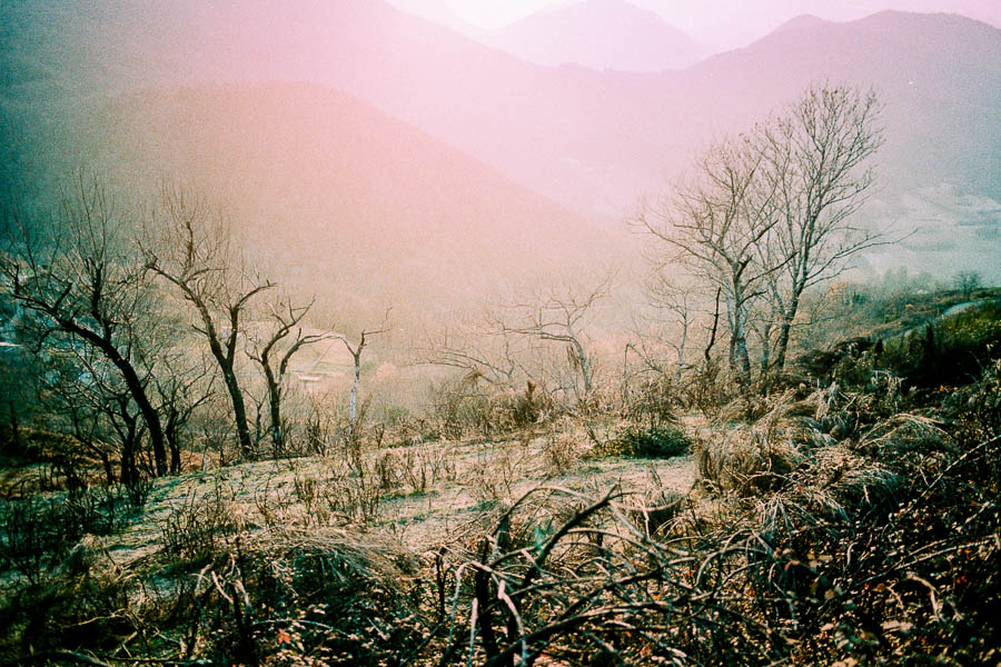 gael_bonnefon_meme_soleil-12