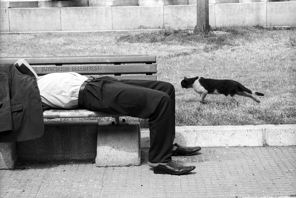 Sans nom-16 copie copie copie