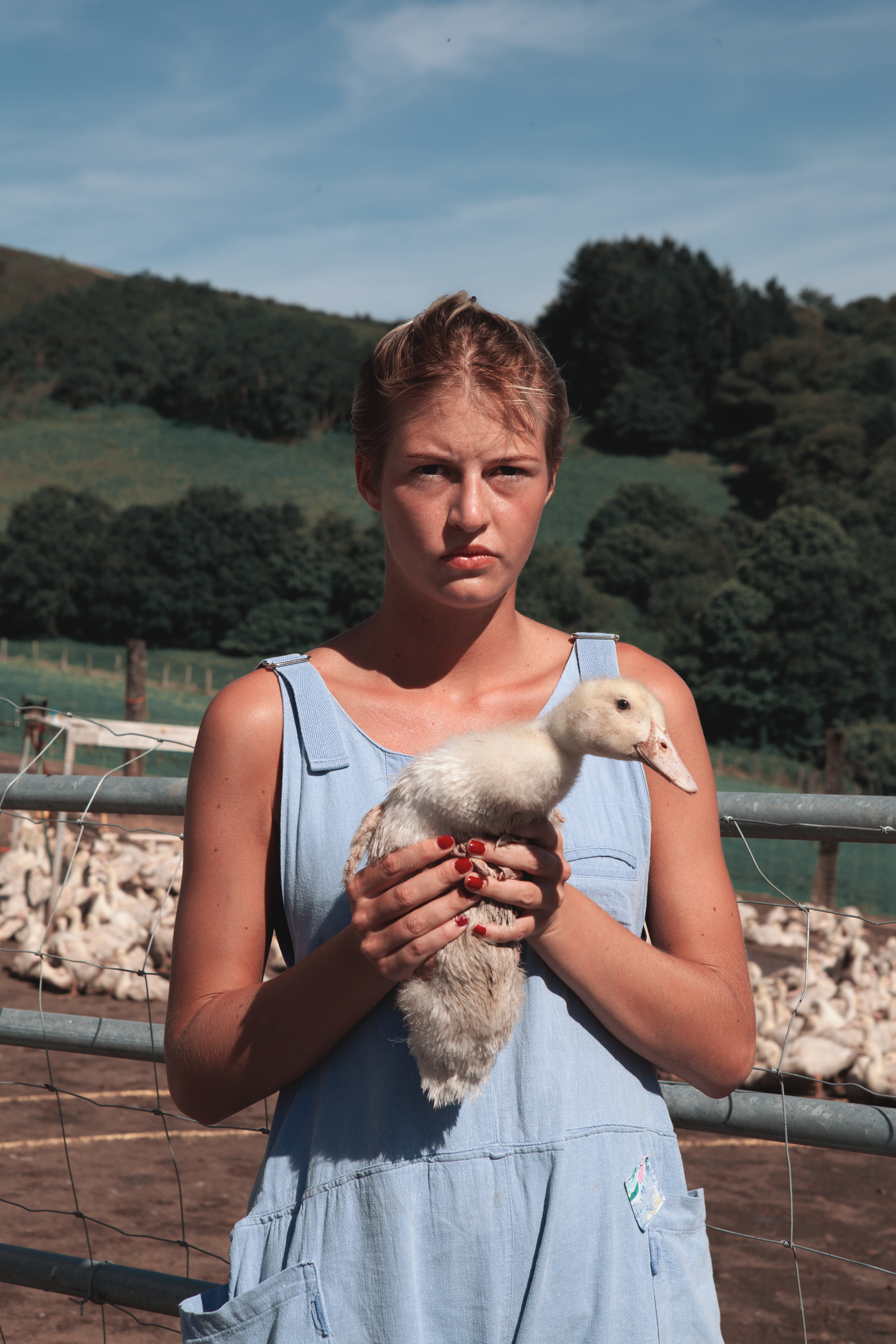 3-ACOT-JPG-HD-30 sans titre