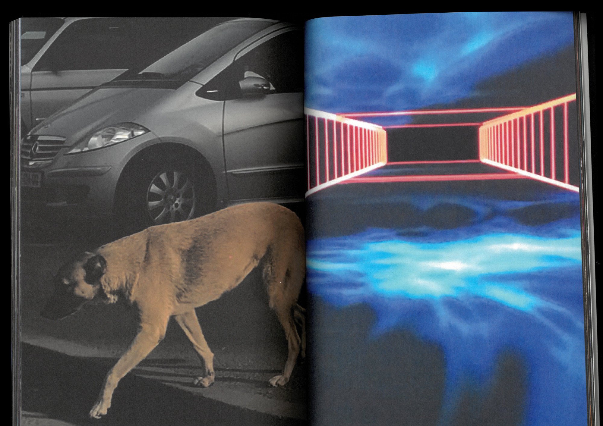 3-Kamilya-Kuspanova___medialibrary_original_2000_1414