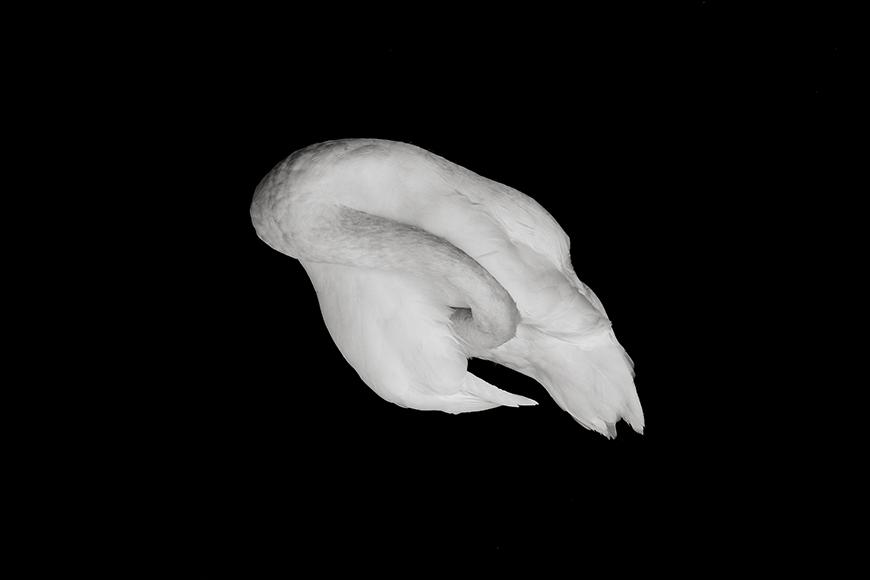 _Abstract image presse 1 © olivier degen