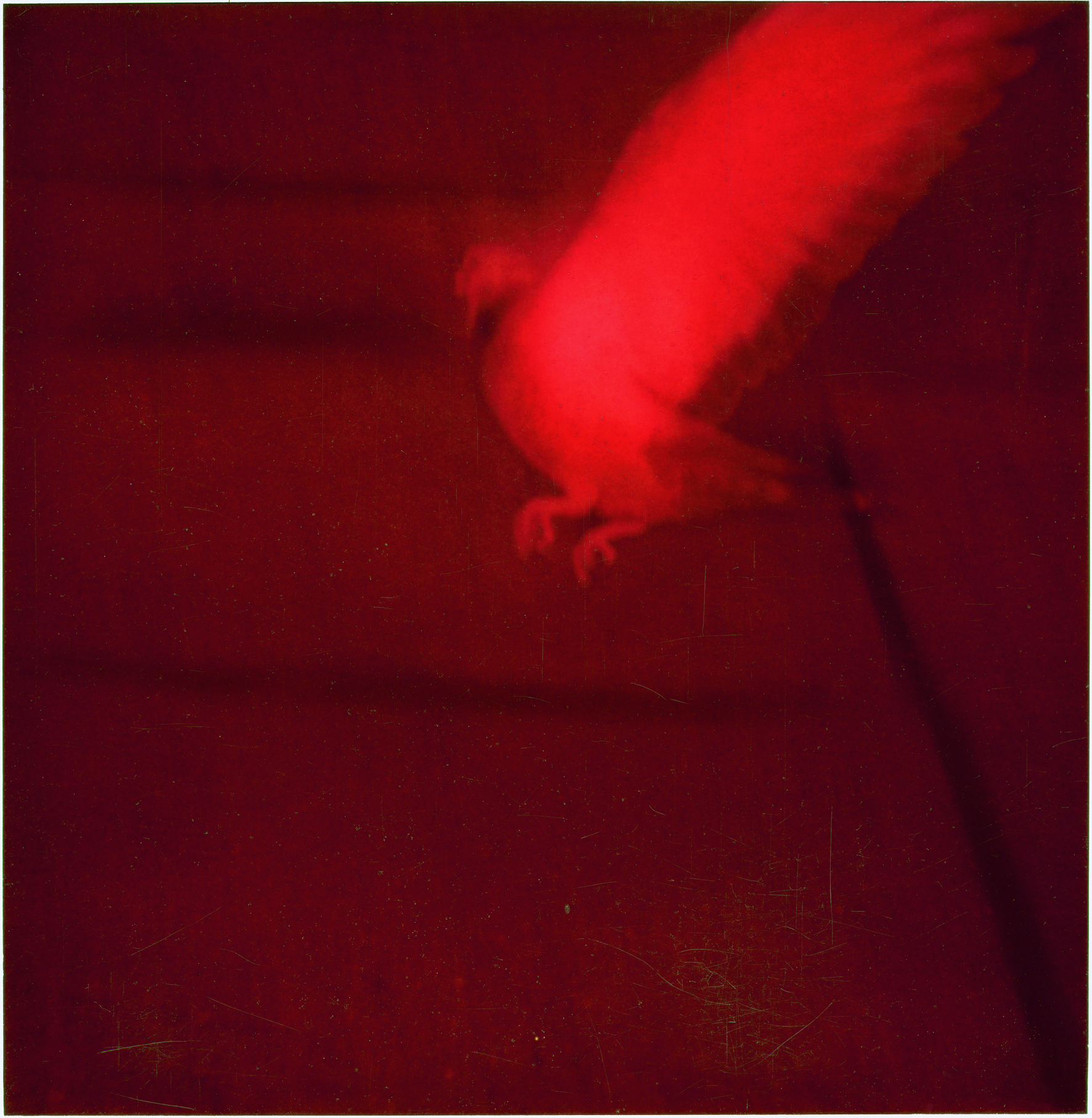 Amsterdam Avenue, Harlem 2002