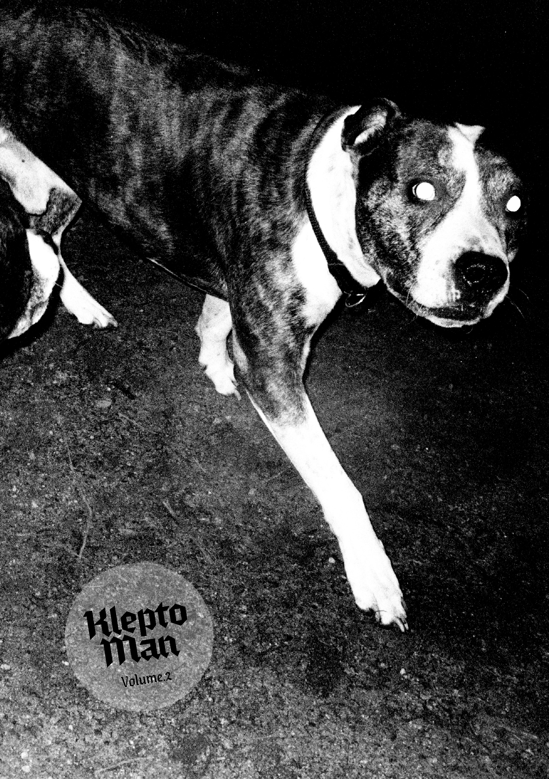 Kleptoman_Volume2_Mathieu-Van-Assche_Le-Mulet_cover