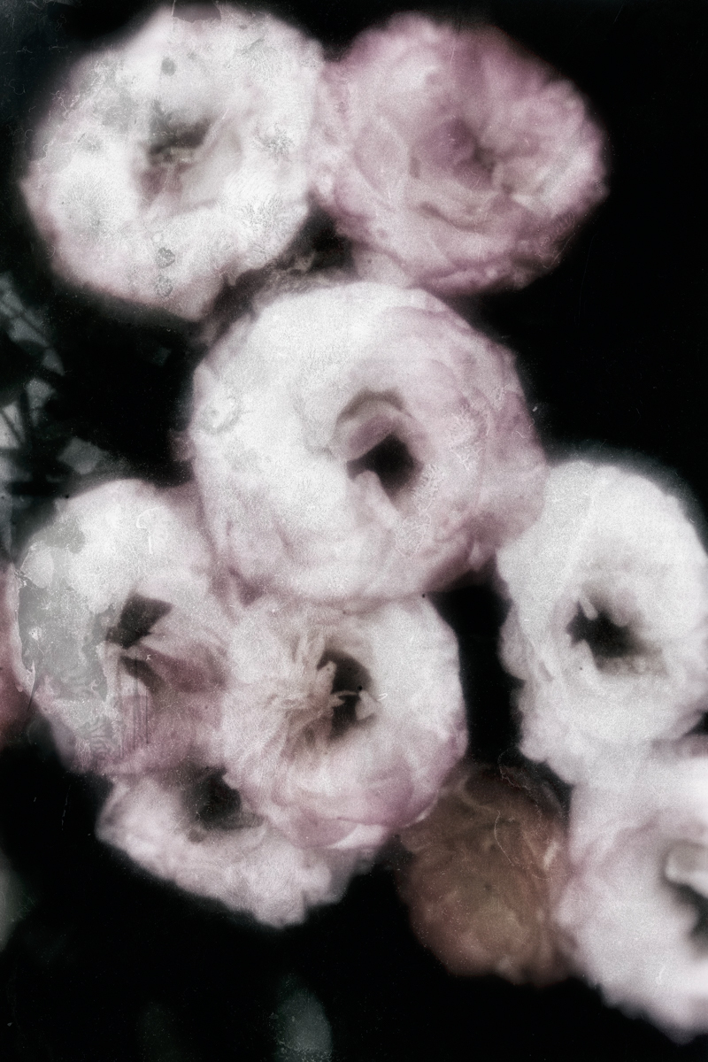 Lookinng for my own body