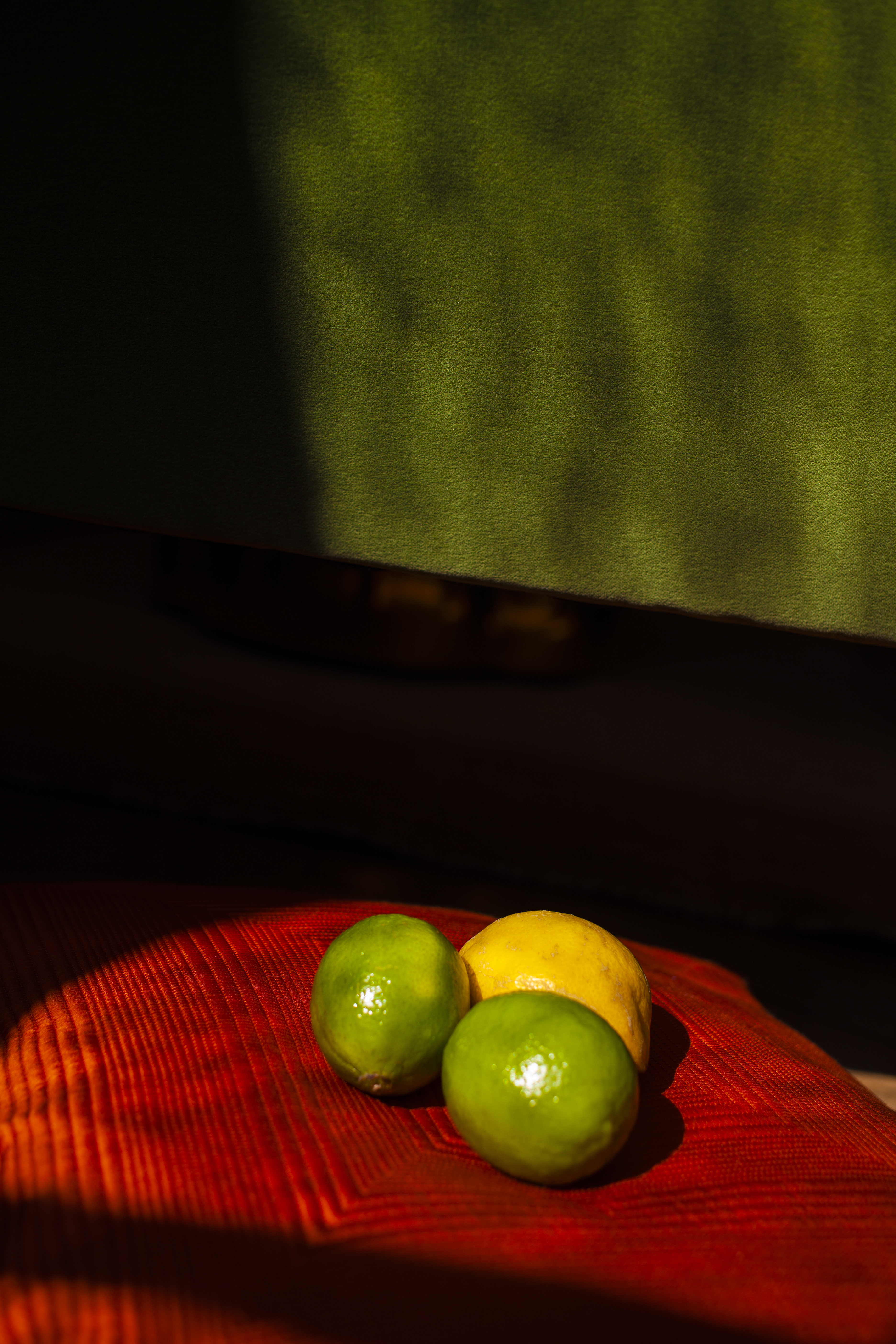 MargueriteBornhauser_EdLamartiniere_02