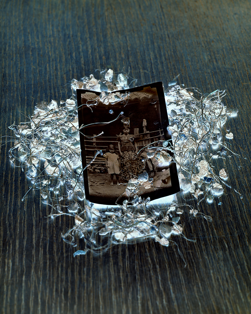 MNHN photo-negative