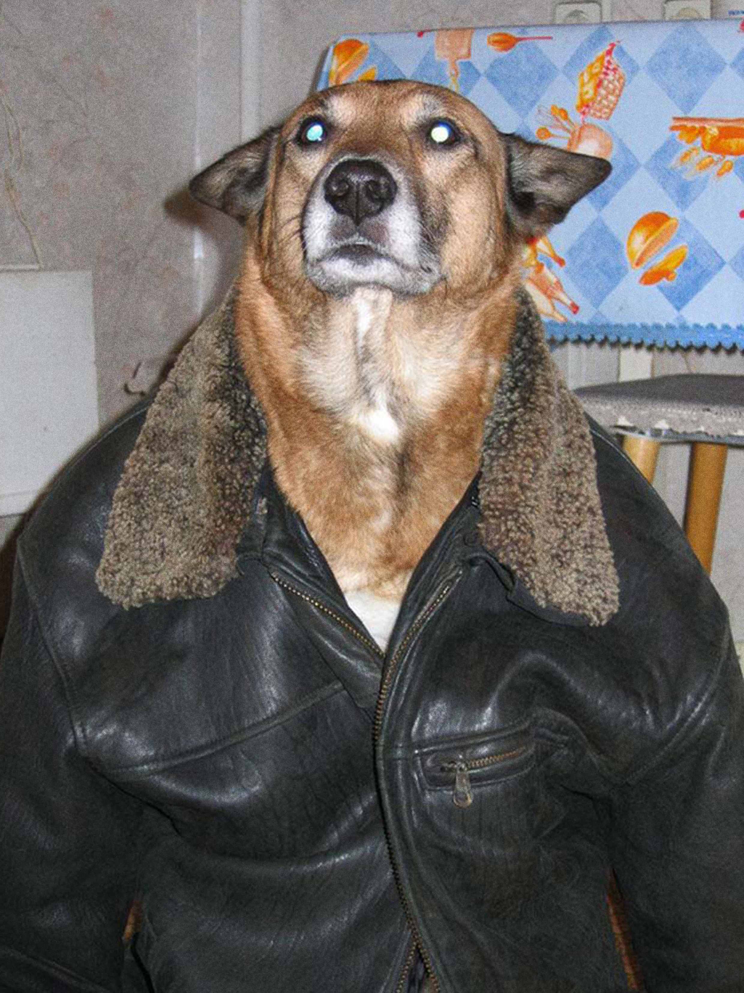 Percevoir_Mailaender_5