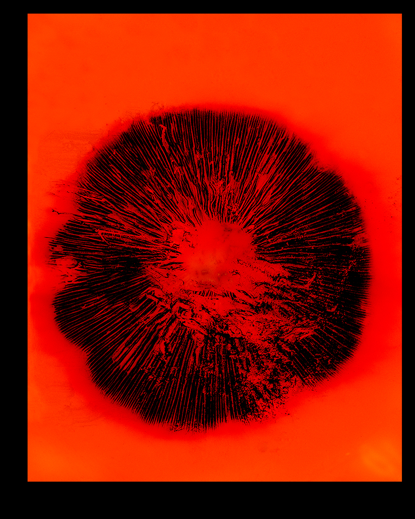 spore-print-negatif-rouge