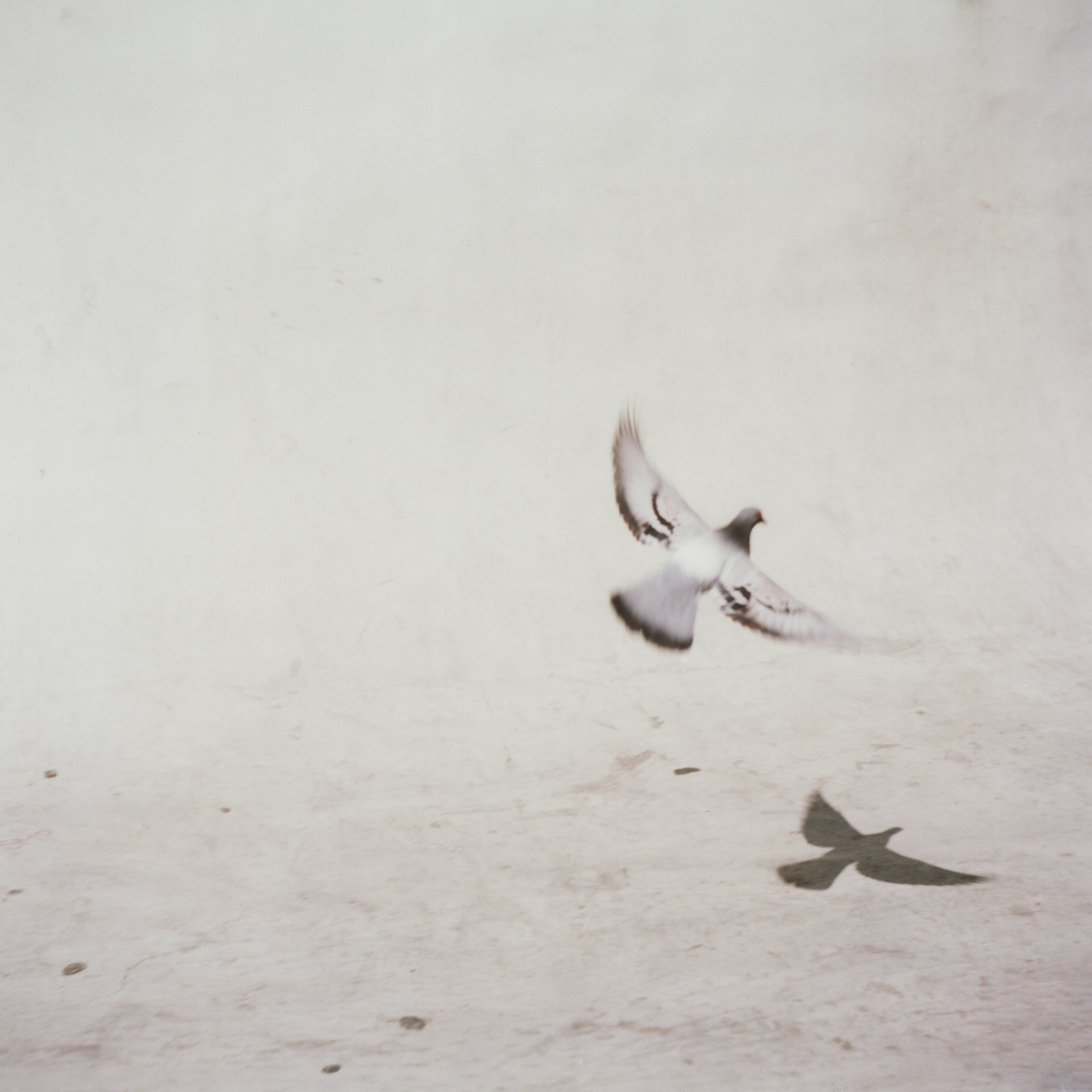 2012 Espagne Séville