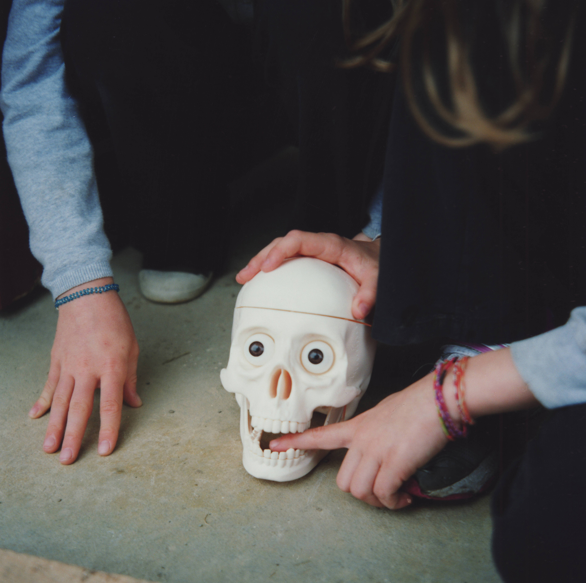 2012 Musculdy France