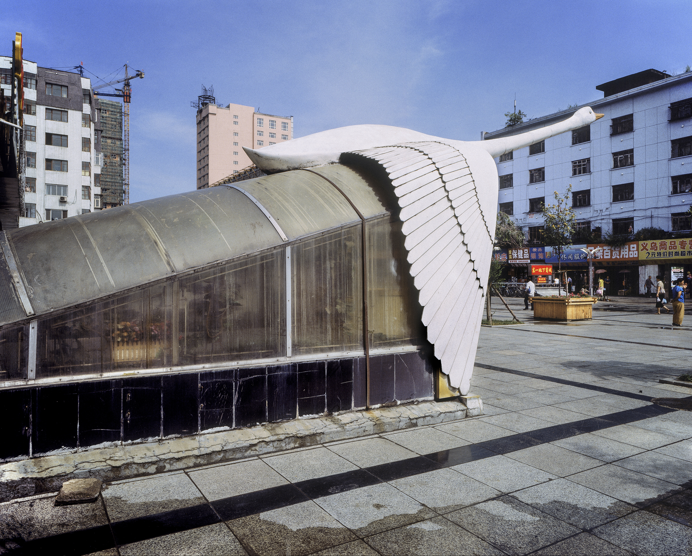 Discover_┬®FrancoisDaireaux_01