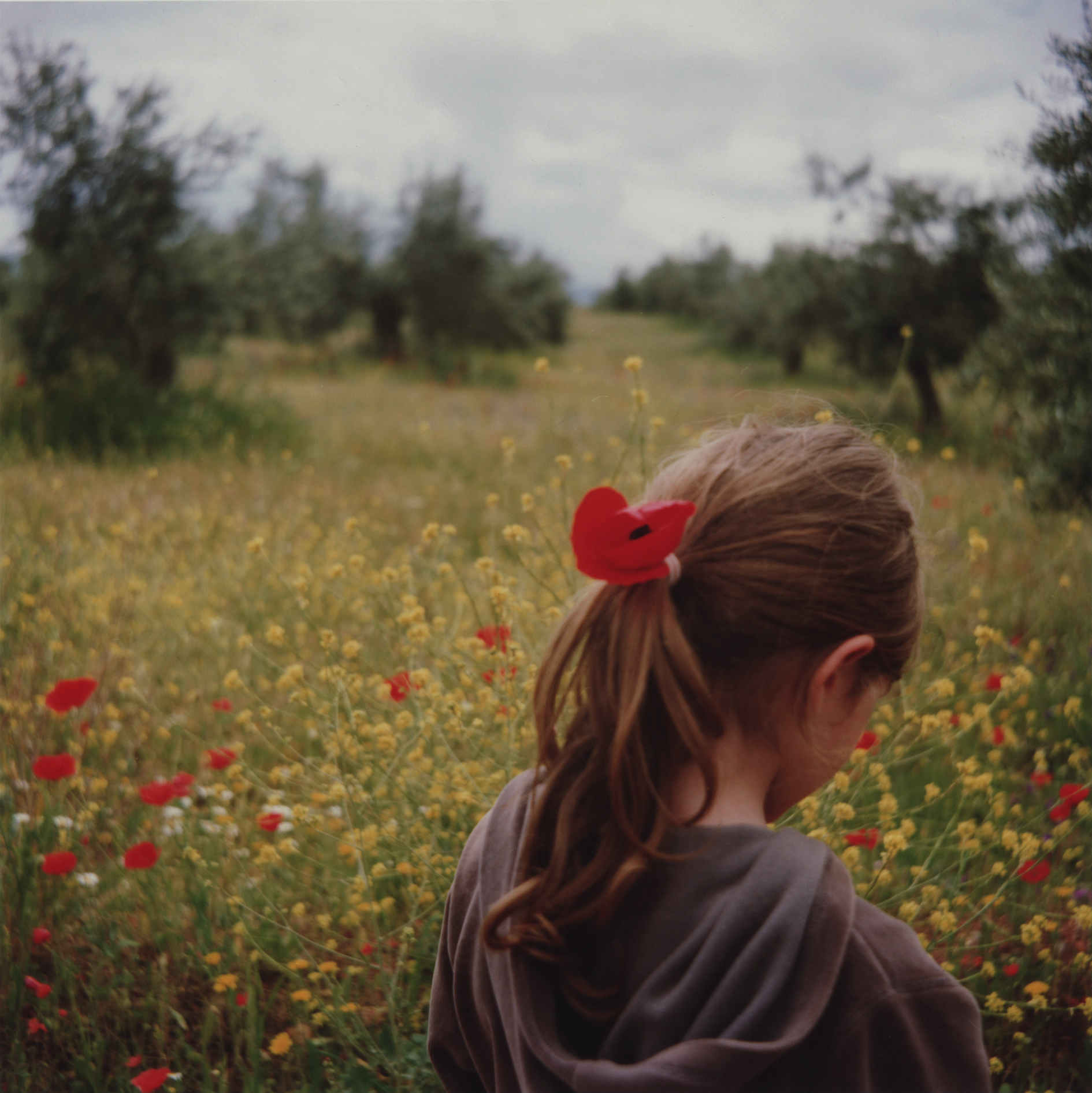 Grenade Espagne 2011