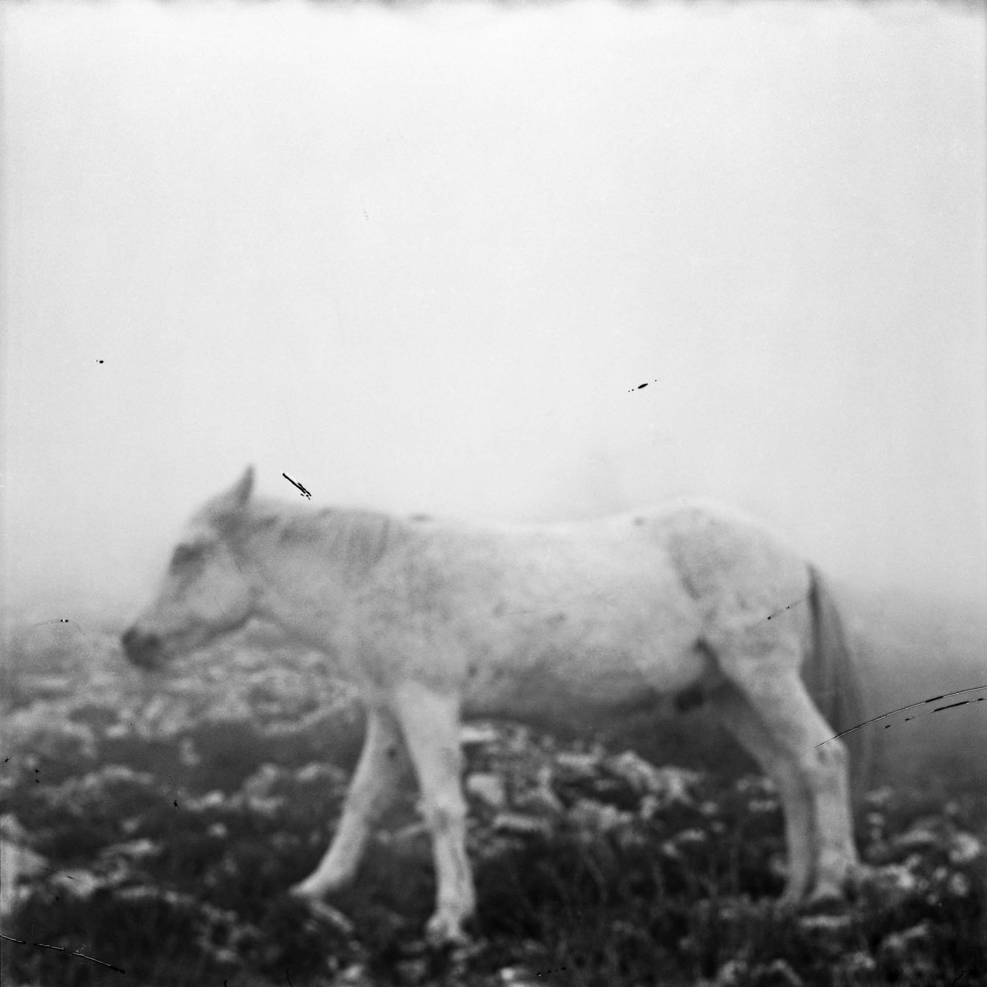 img012