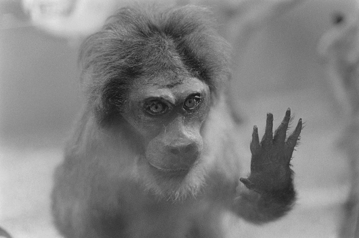 PRINT-01 Niveaux de gris copie 2