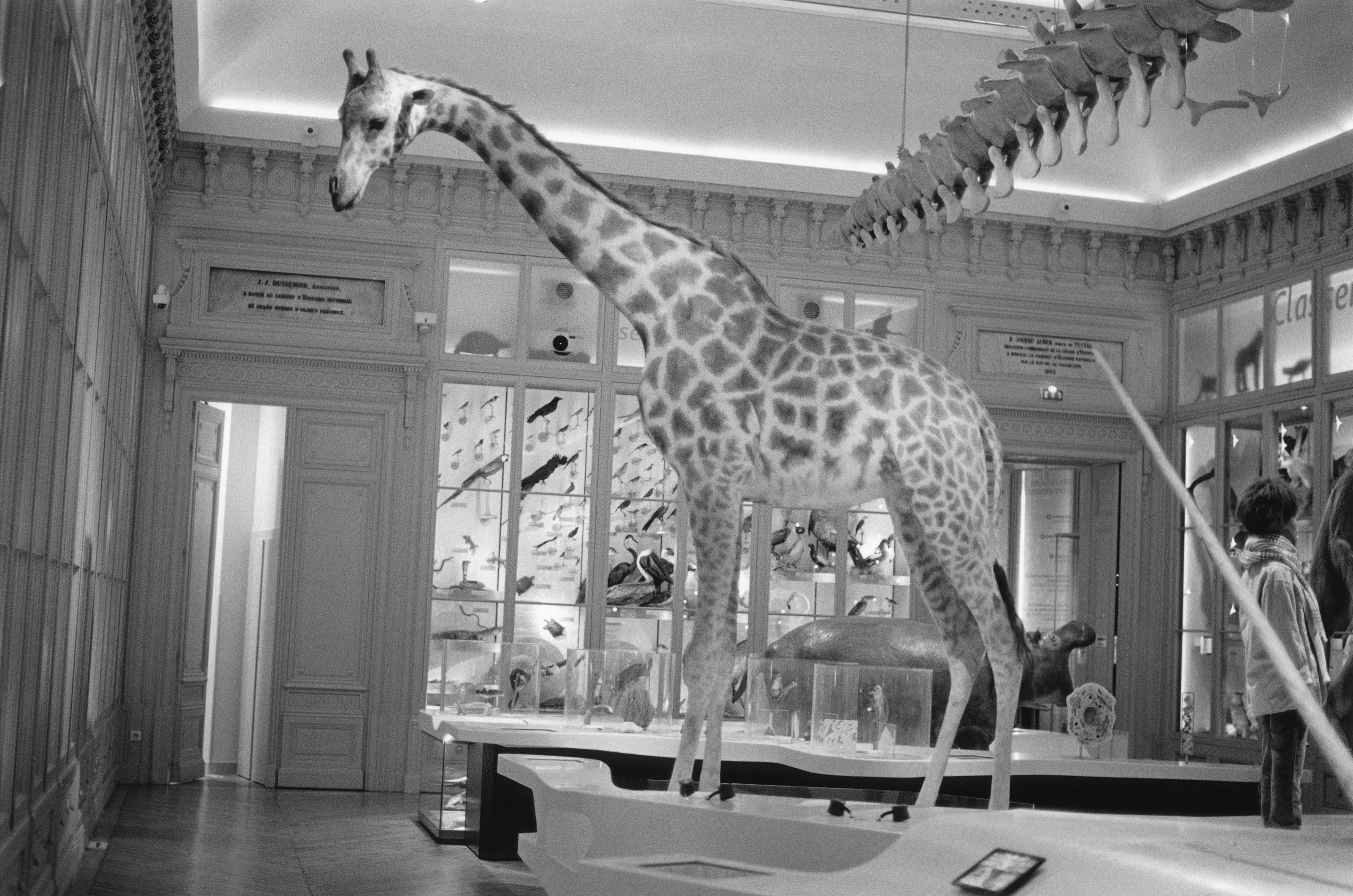 PRINT-02 Niveaux de gris copie copie