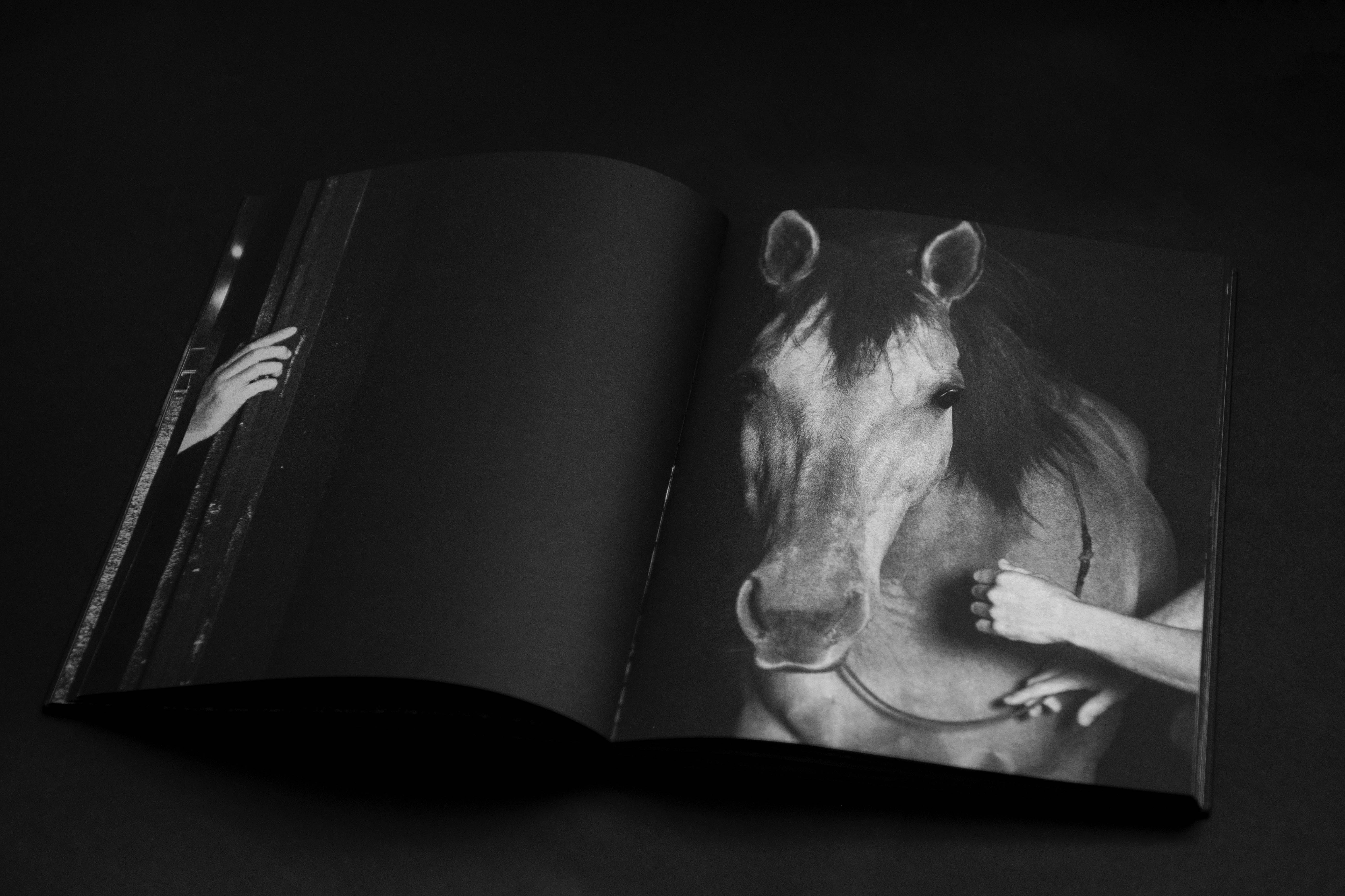 013-shooting-final-face-cachee-livre-alain-kaiser-HD-