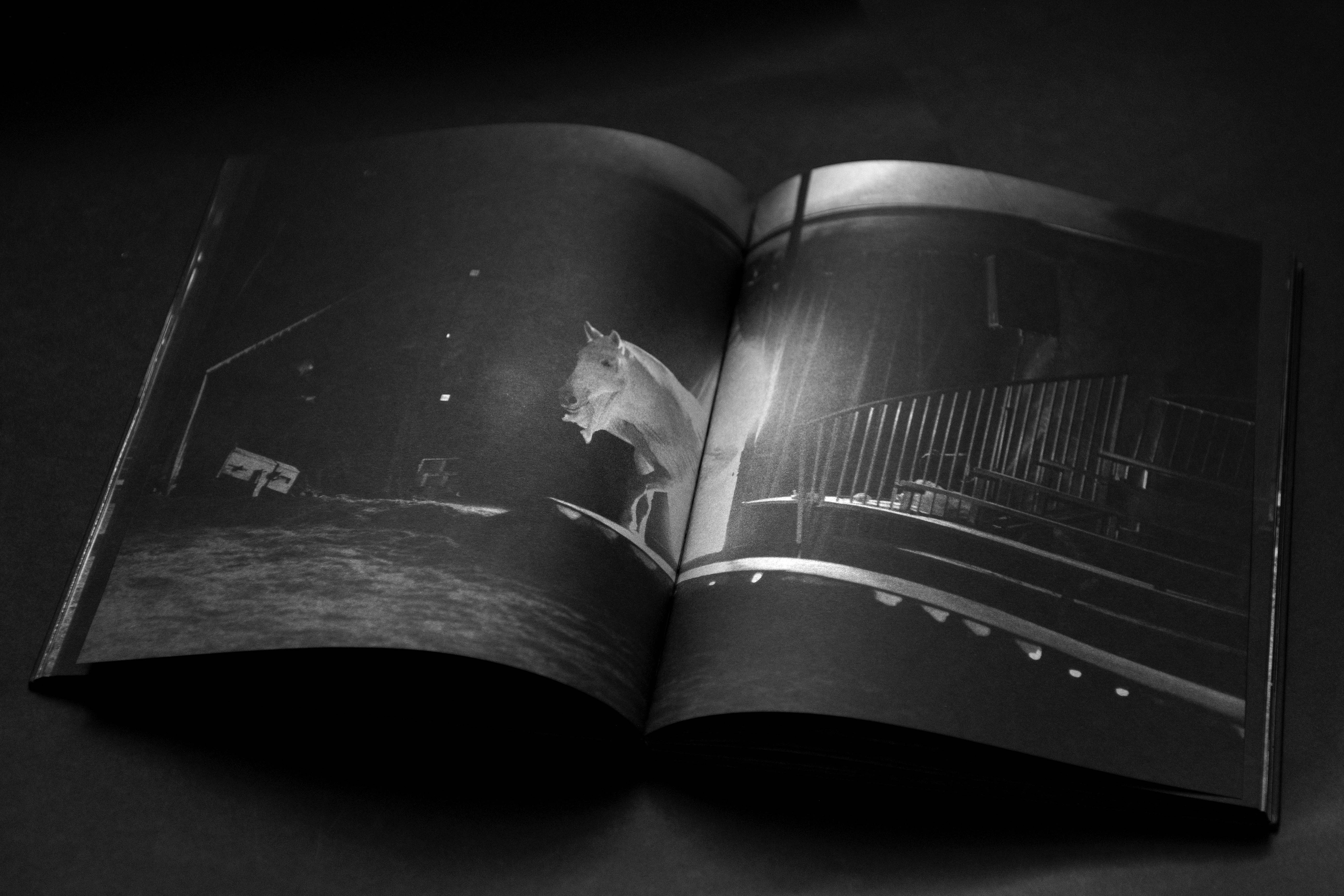 017-shooting-final-face-cachee-livre-alain-kaiser-HD-