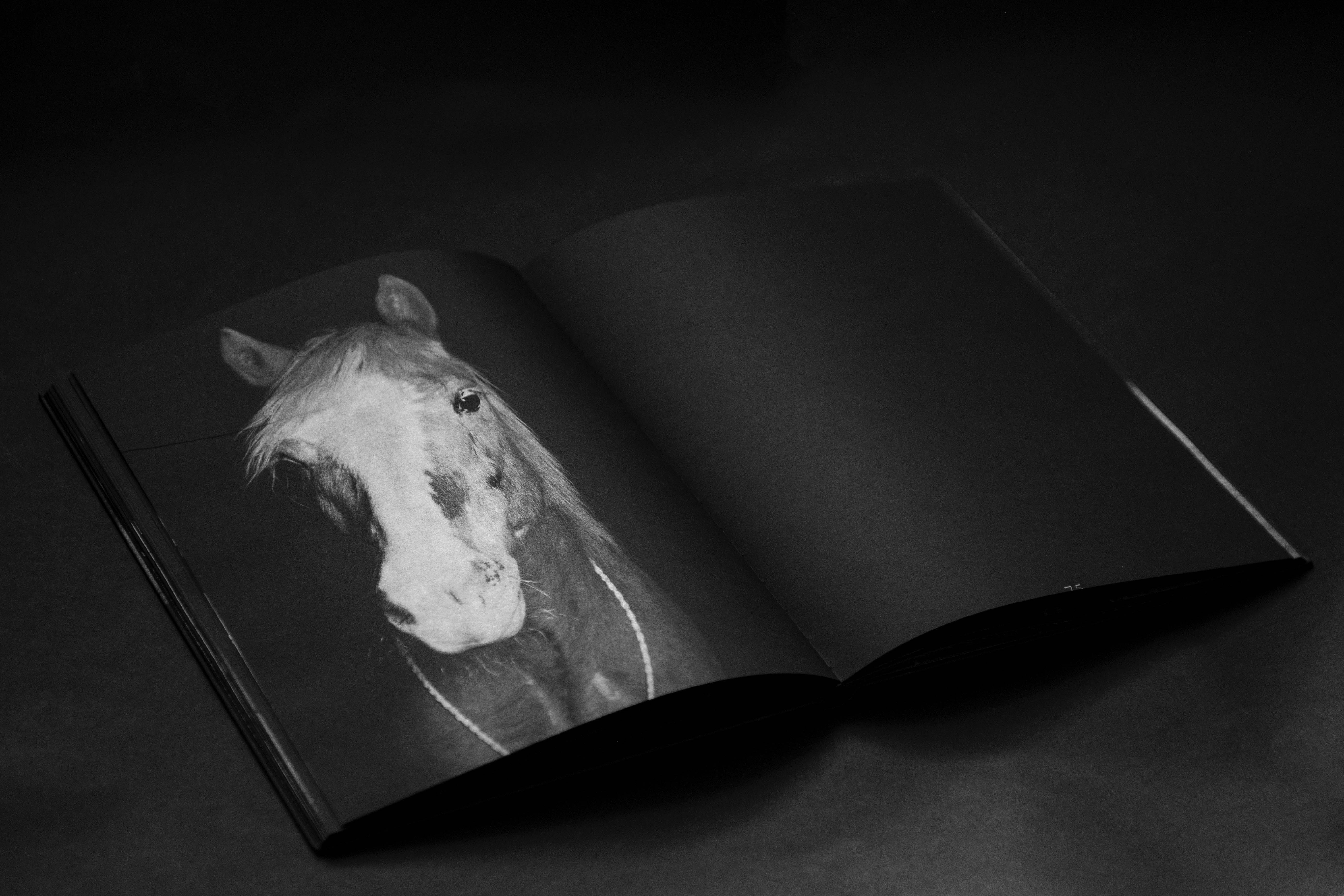 019-shooting-final-face-cachee-livre-alain-kaiser-HD-