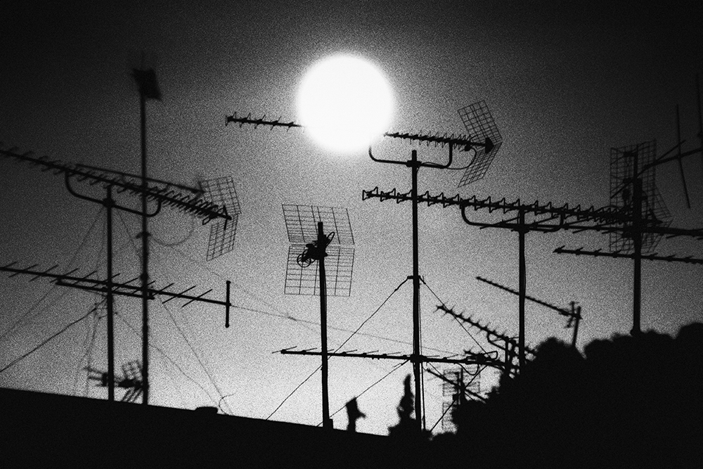 02-Stephane_Charpentier_C1261-35