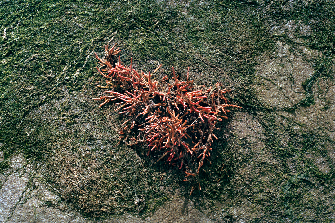 05_Sans titre_Le Seuil