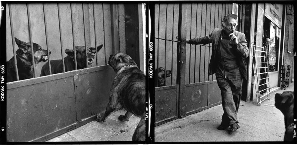 1614615281_822890_1614615928_noticia_normal