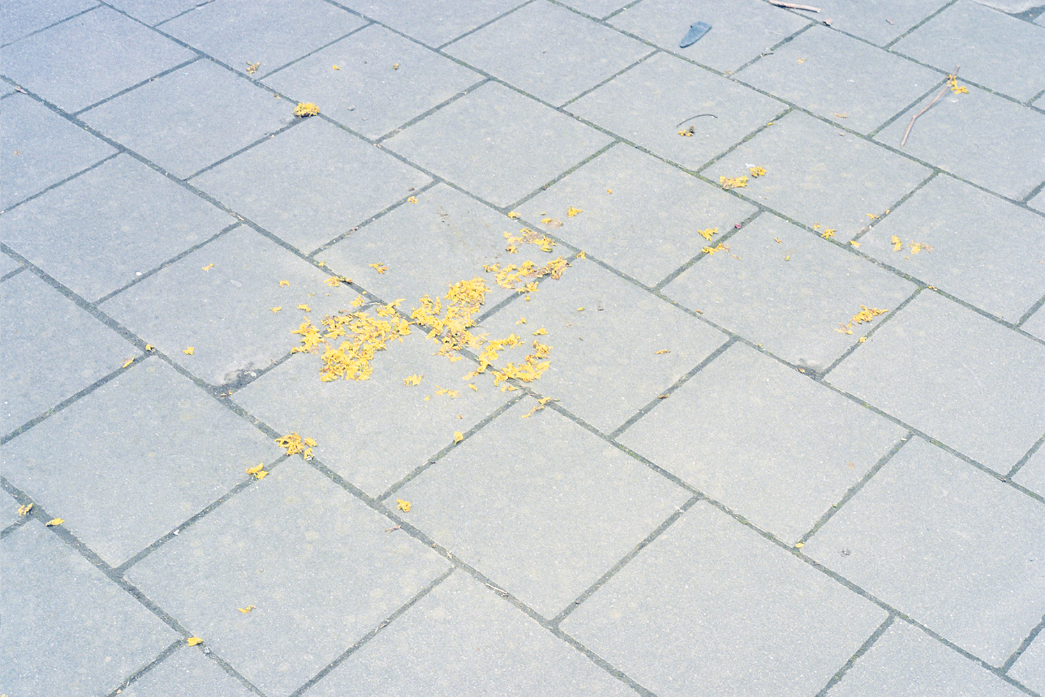 Autosave-File vom d-lab2/3 der AgfaPhoto GmbH