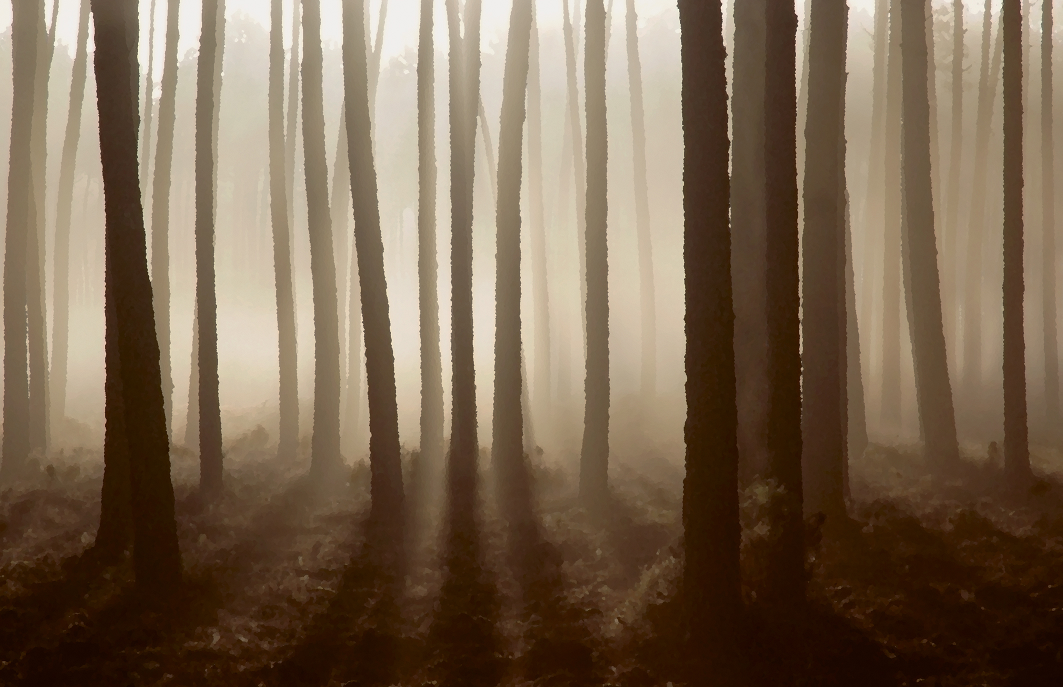 ©_Bertrand_Bouët-Willaumez_livre_Contrejour_photo_6