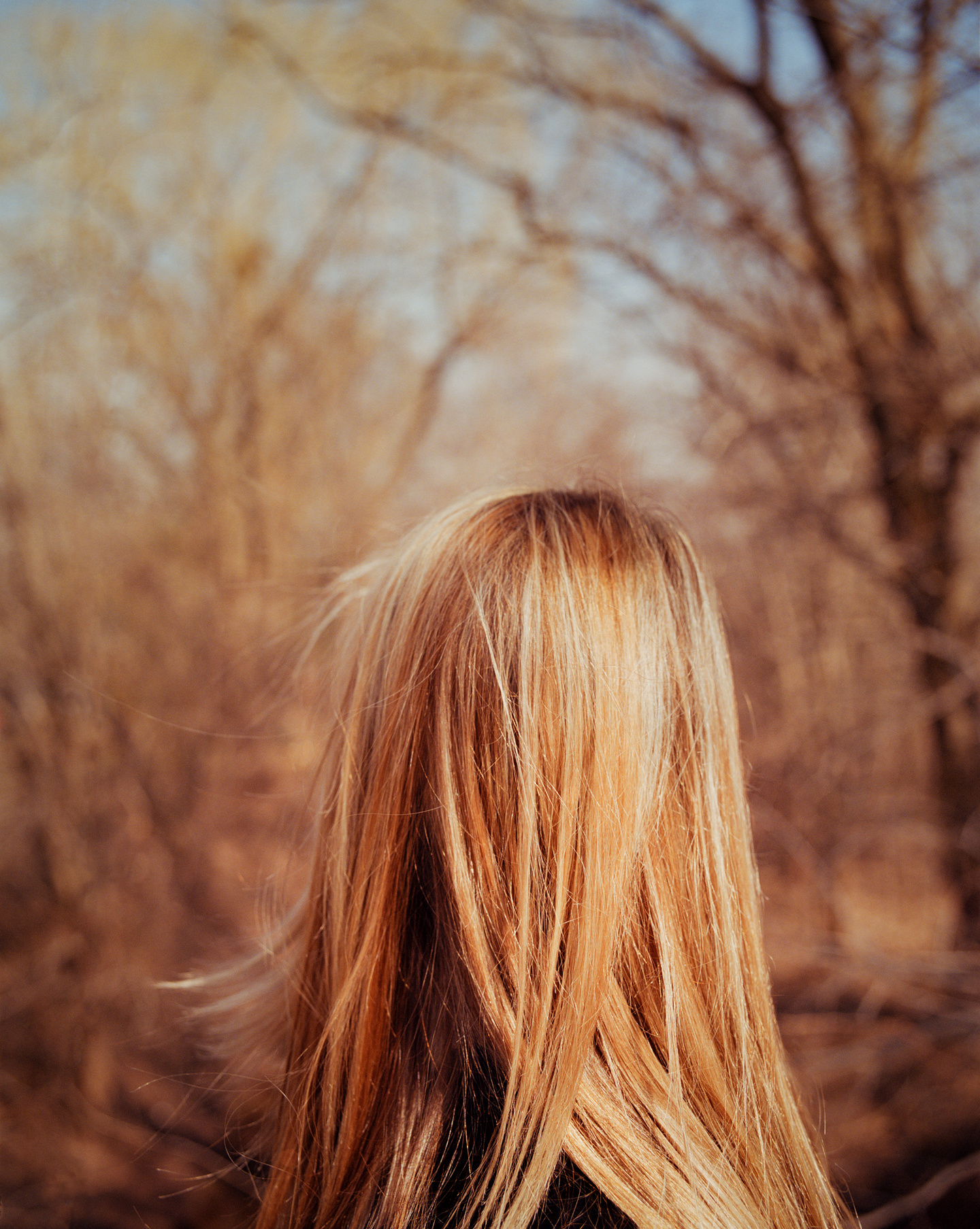 Todd Hido, #2653, from Intimate Distance (Aperture, 2016)