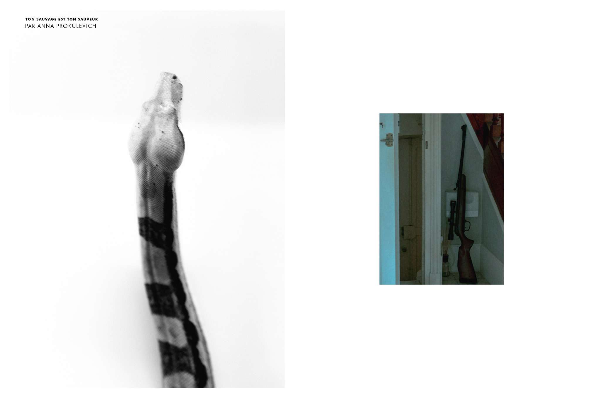 PI-XI_COUVINTERIEUR11