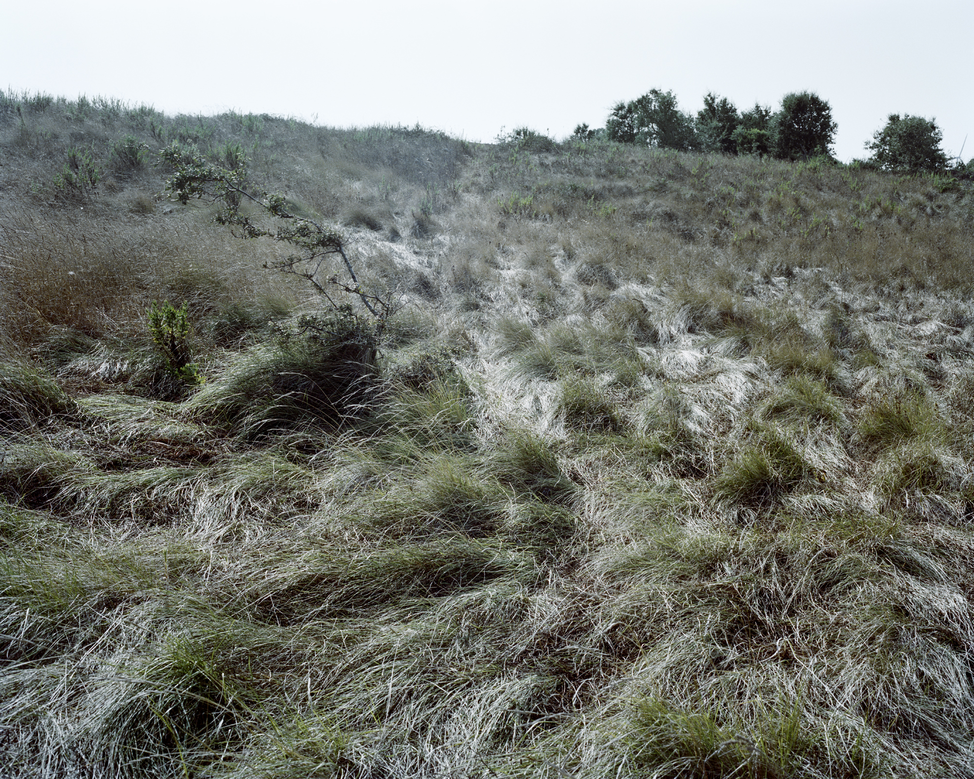 "Homem morto passou aqui"