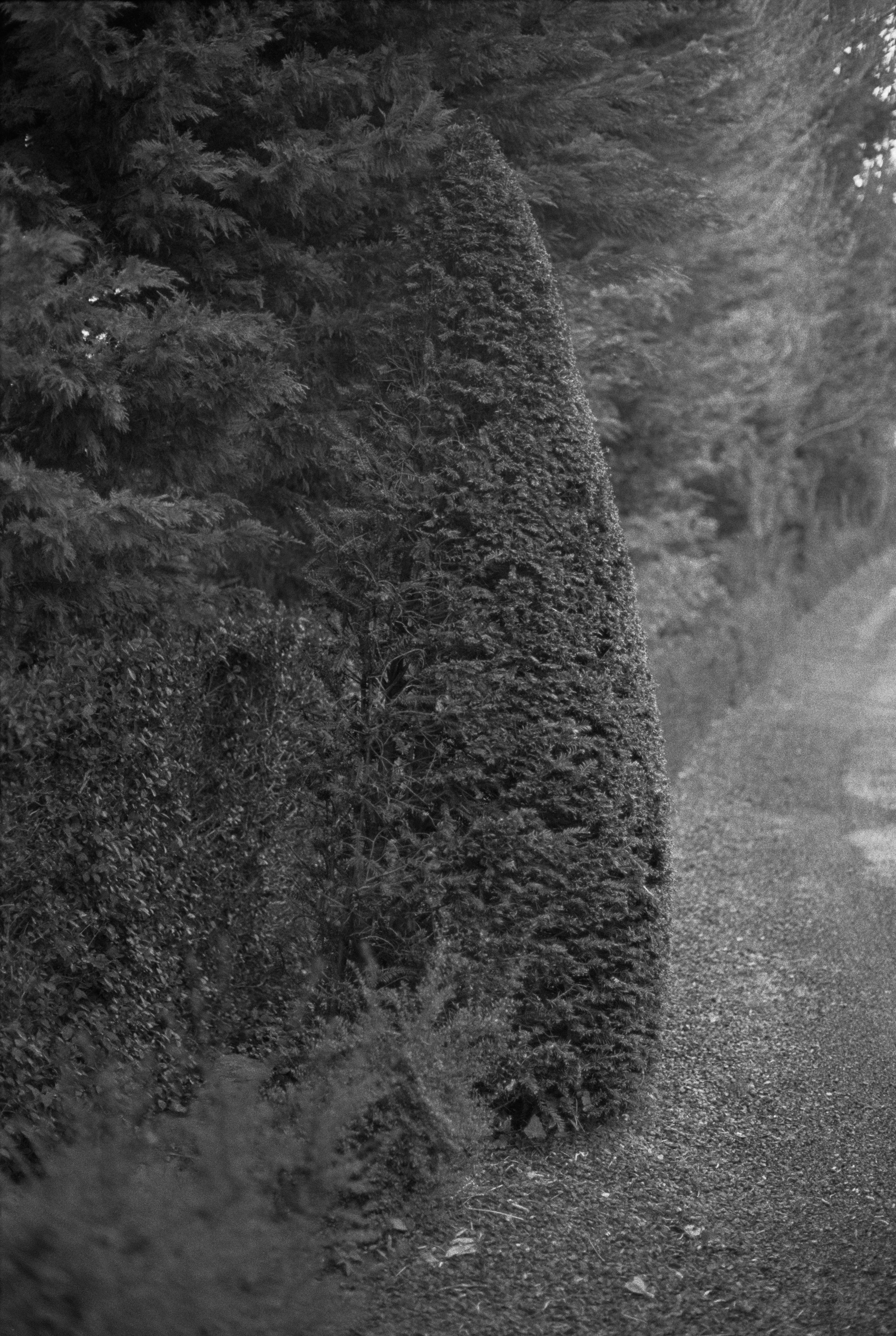 12 Deauville Ferme du coteau 2021