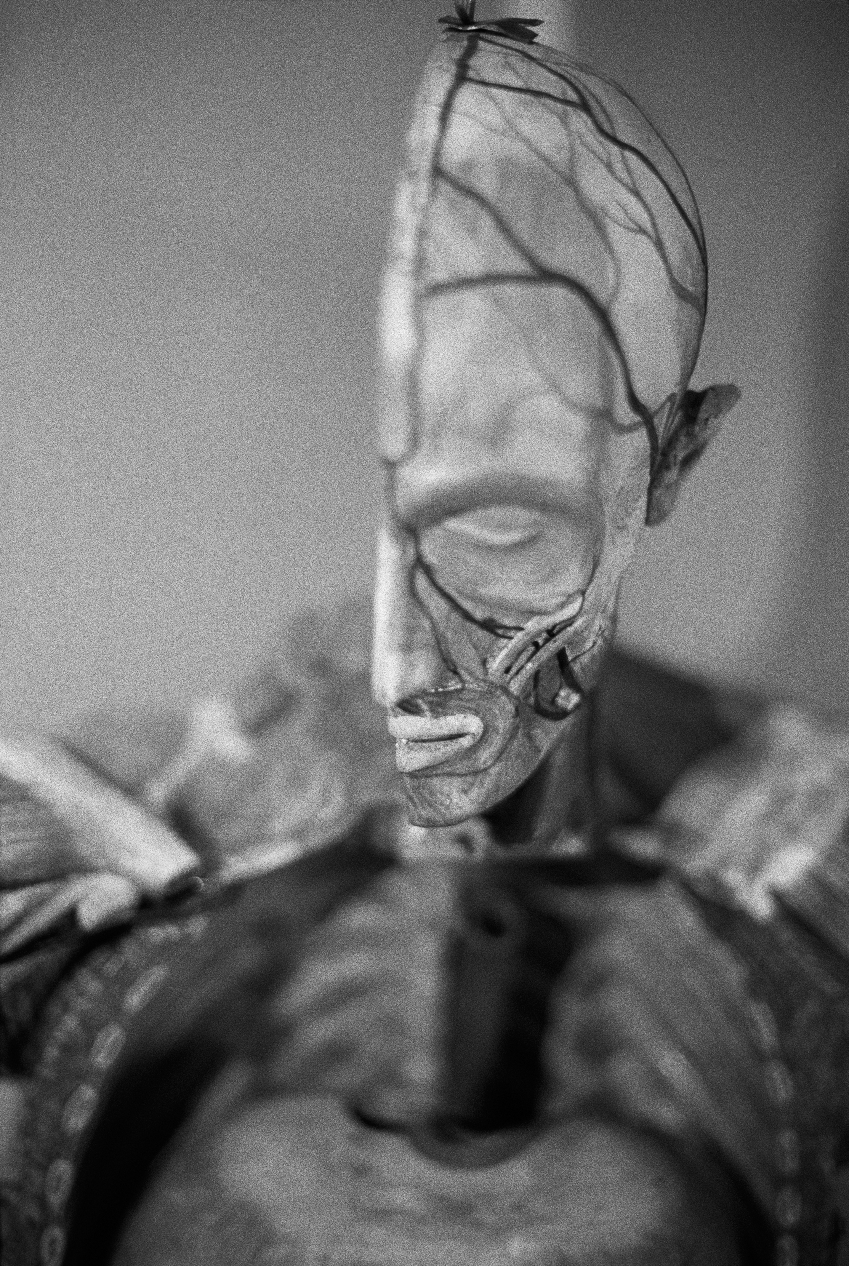 18 Rouen Musee de la medecine 2021