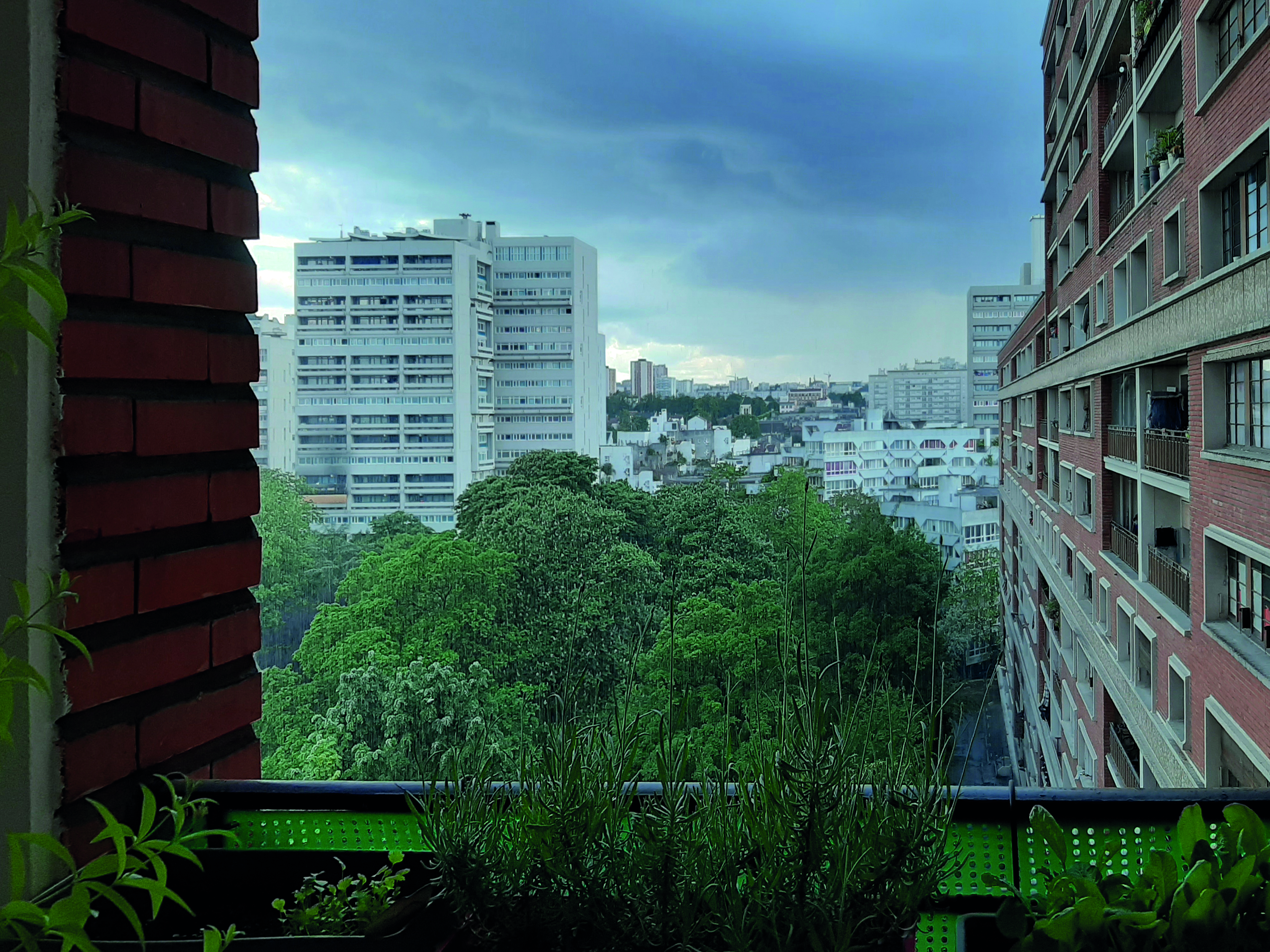 213 magali favriou thorez