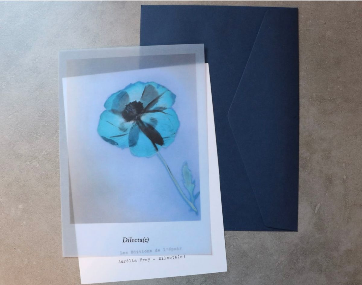 arles-exposition-3DDF0B20464DC681